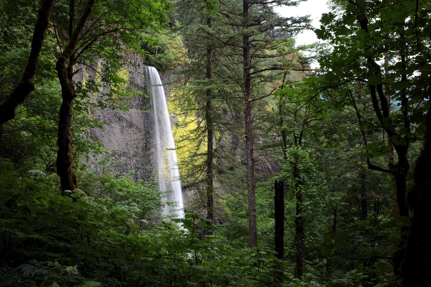 150602.aam.latourellfalls_0039_EDIT.jpg