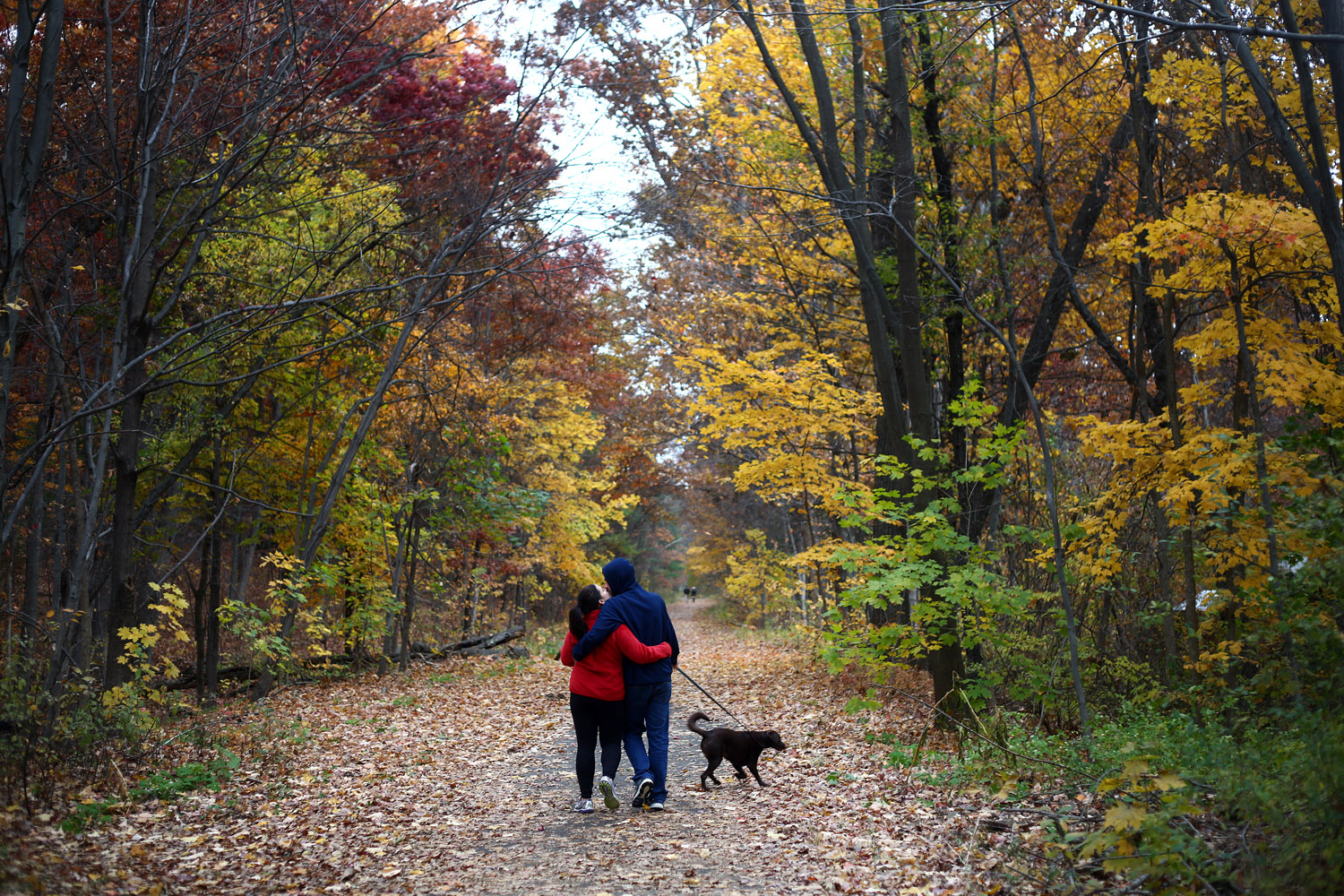 151101.aam.massachusettsfall_0035_EDIT.jpg