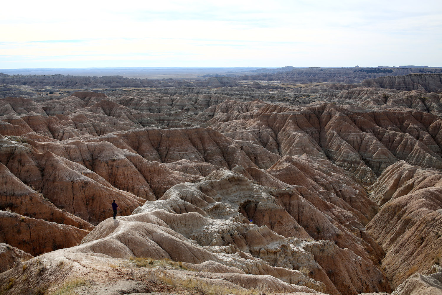 151109.aam.roadtrip_0080_EDIT.jpg