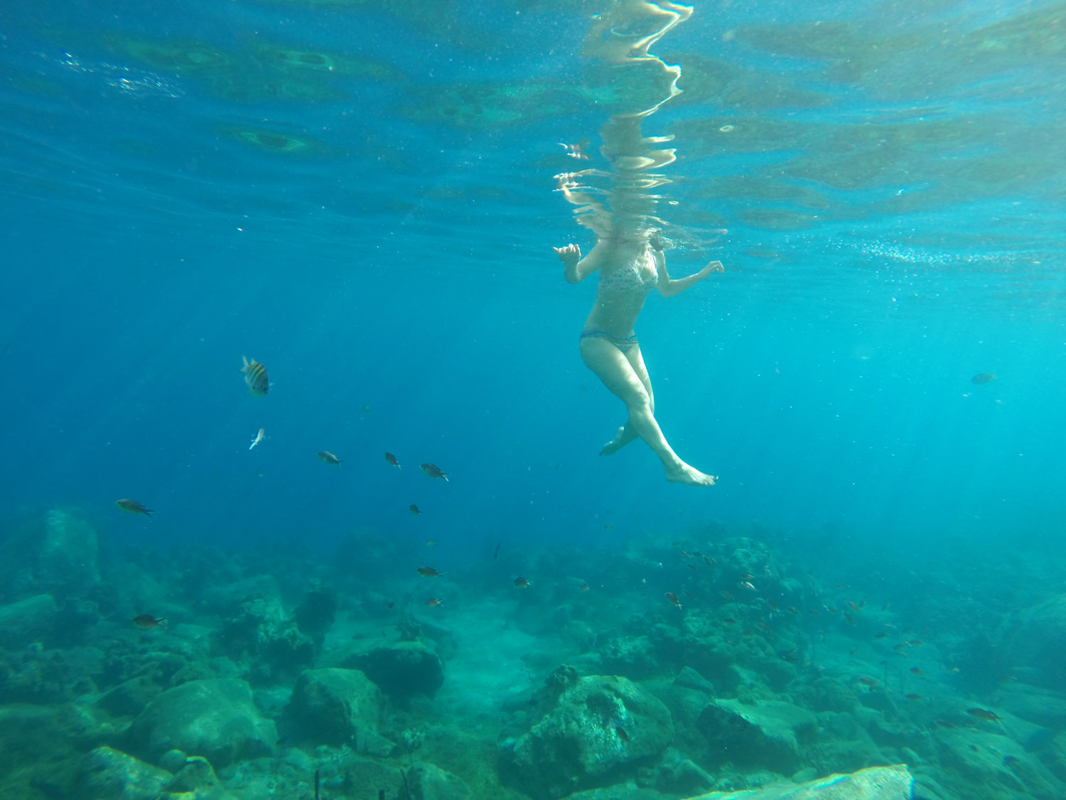 151130.aam.stlucia_0665_EDIT.jpg