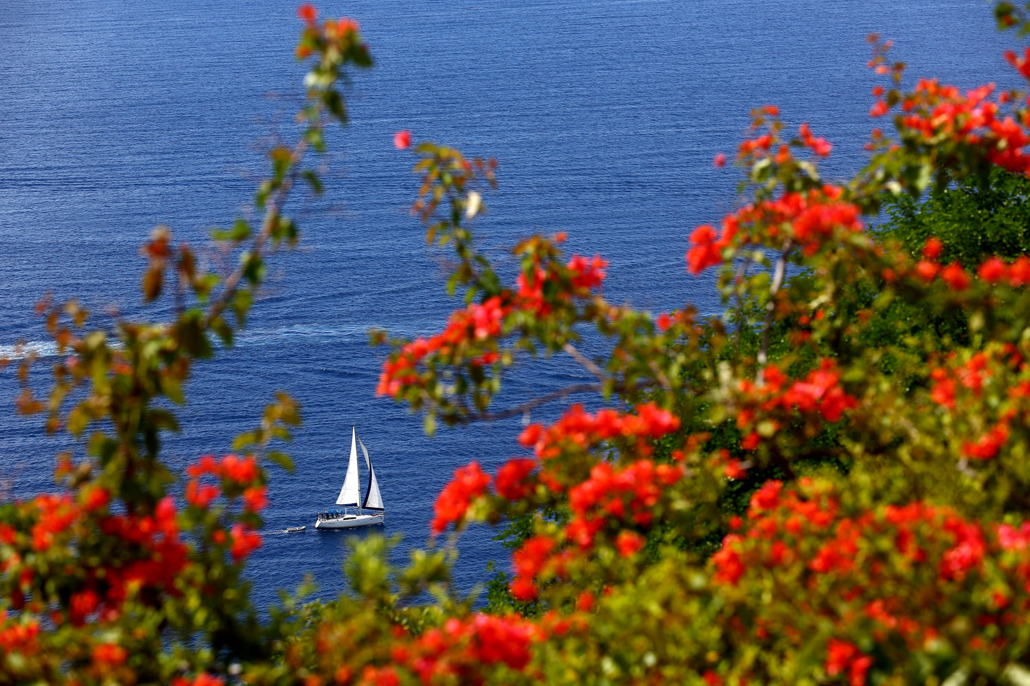 151201.aam.stlucia_0005_EDIT.jpg