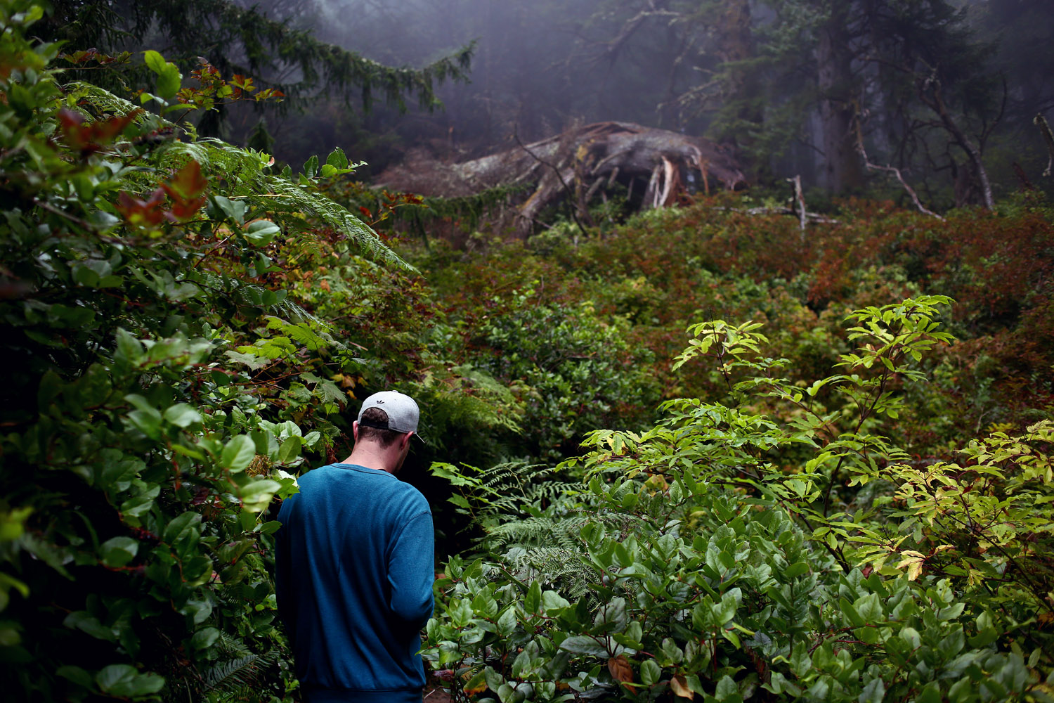 160827.aam.cannonbeach_0491_EDIT.jpg