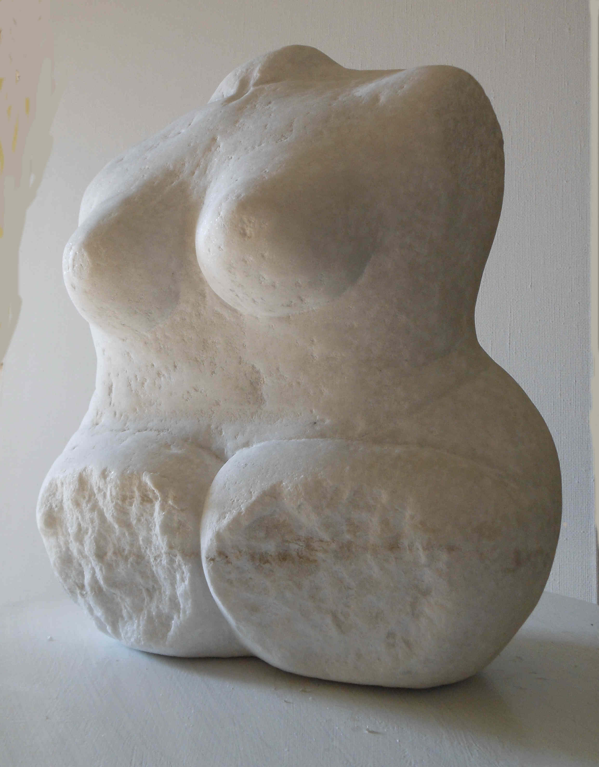 Torso