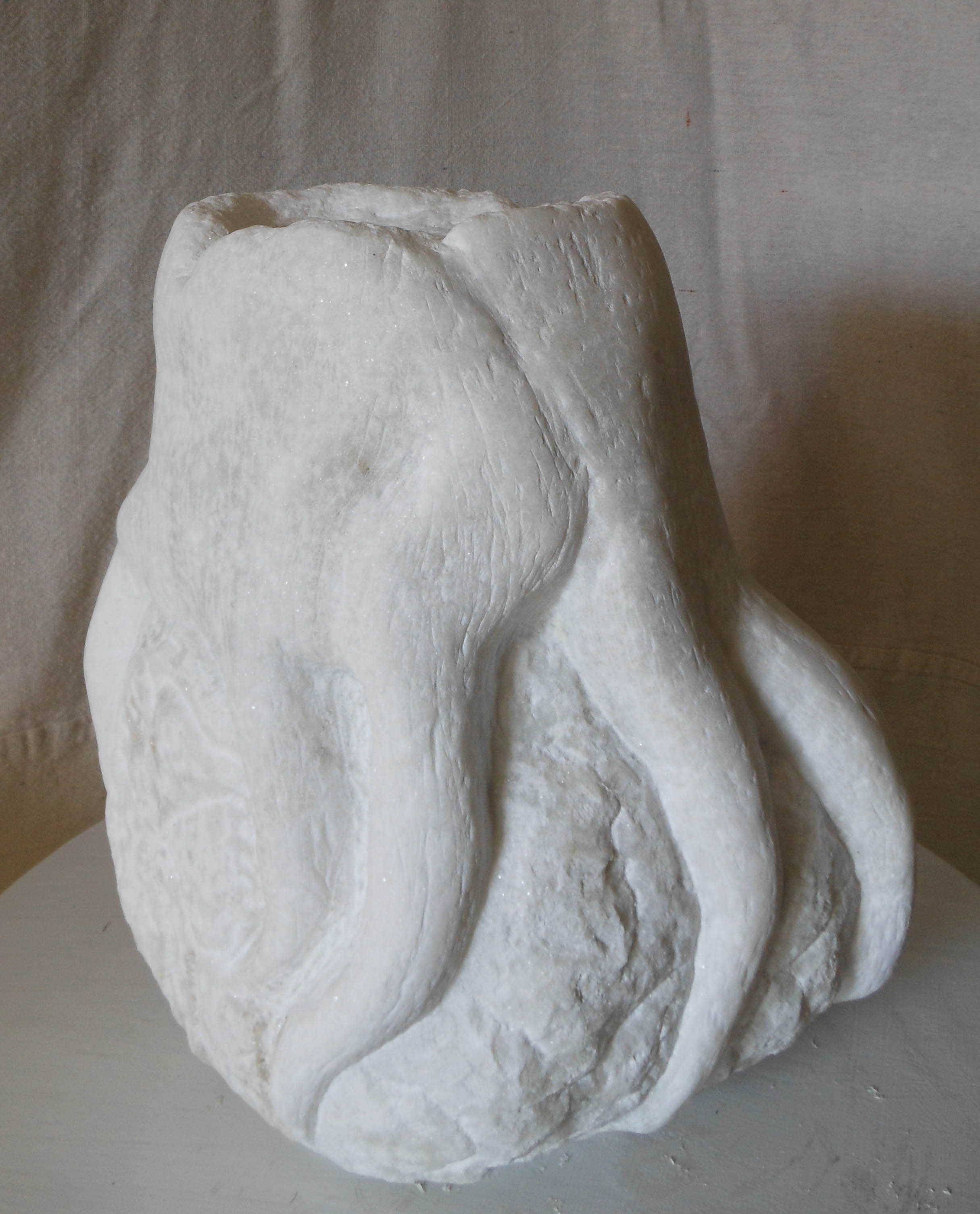 Tree Trunk with Boulder