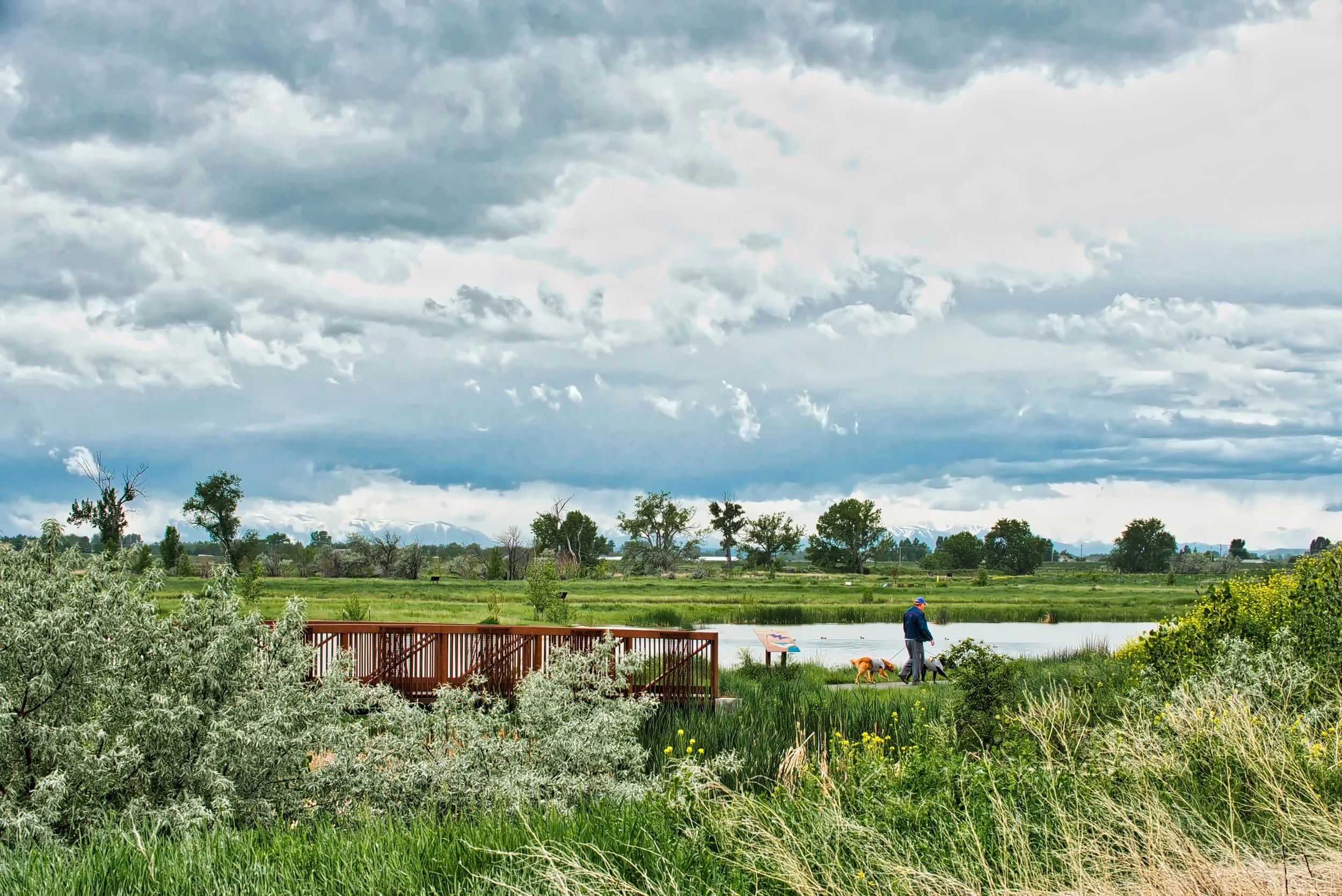 SHILOH CONSERVATION AREA - BILLINGS, MT