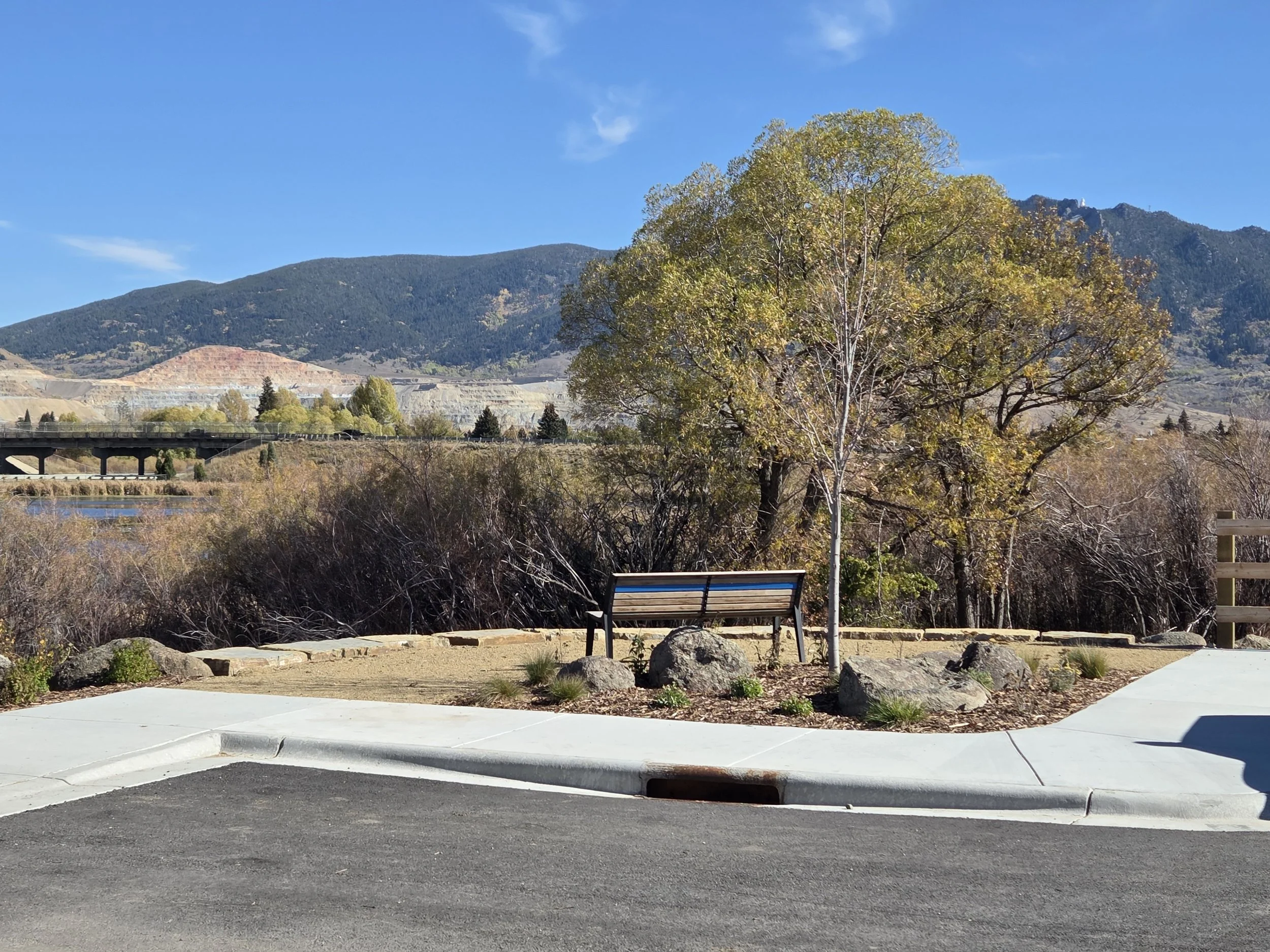 Lexington Wetlands (7).jpg