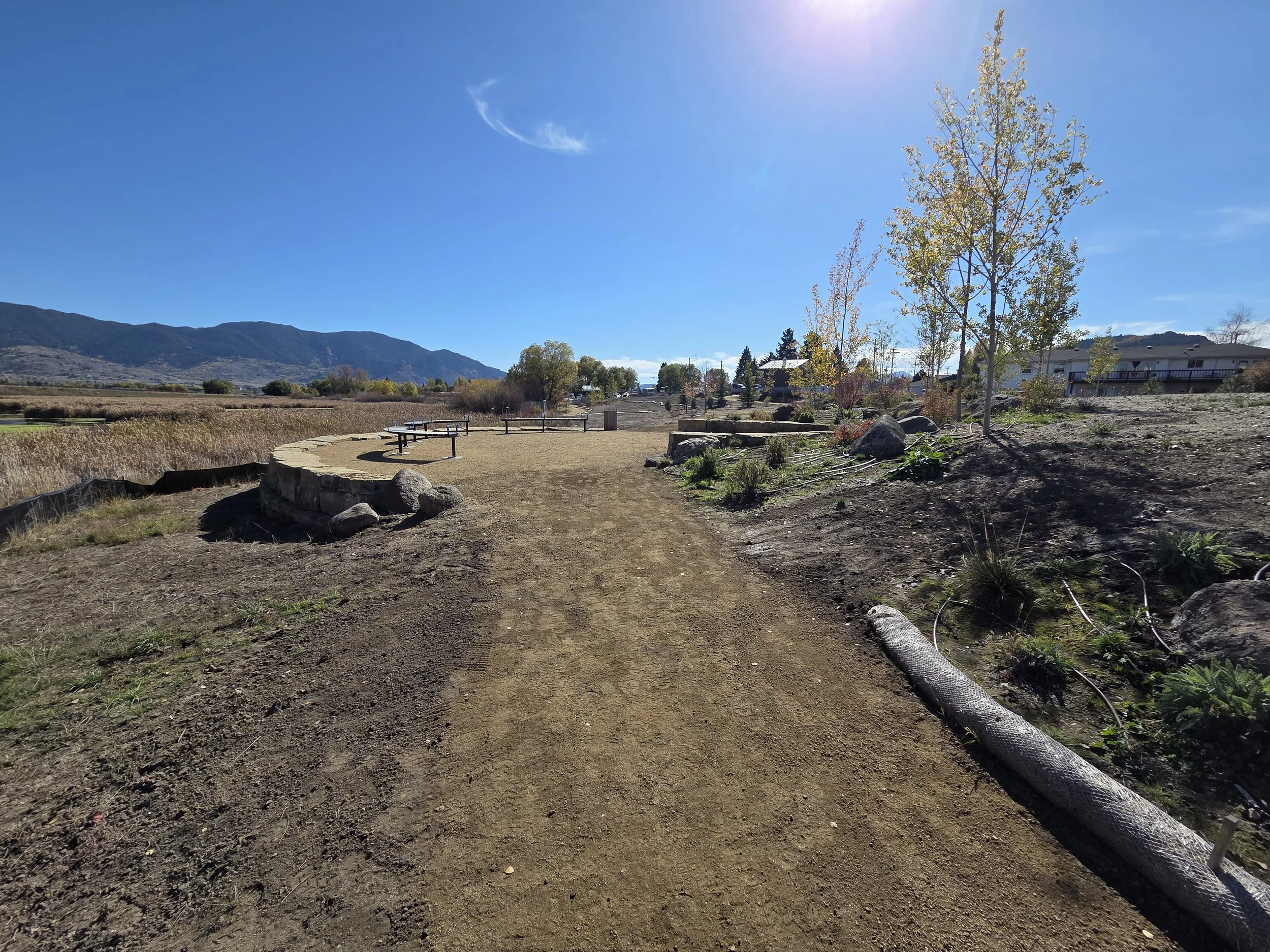 Lexington Wetlands (9).jpg