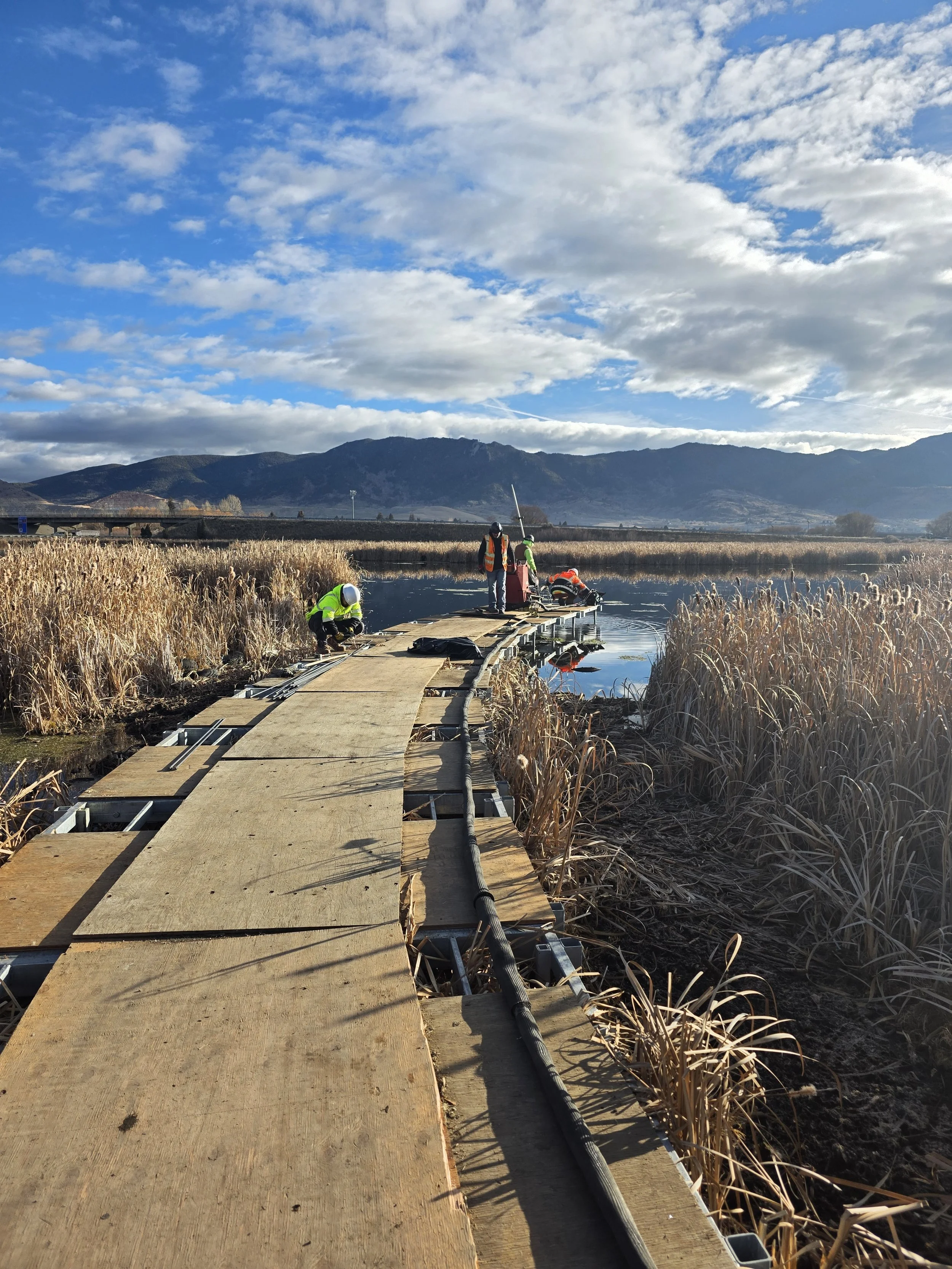 Lexington Wetlands (5).jpg