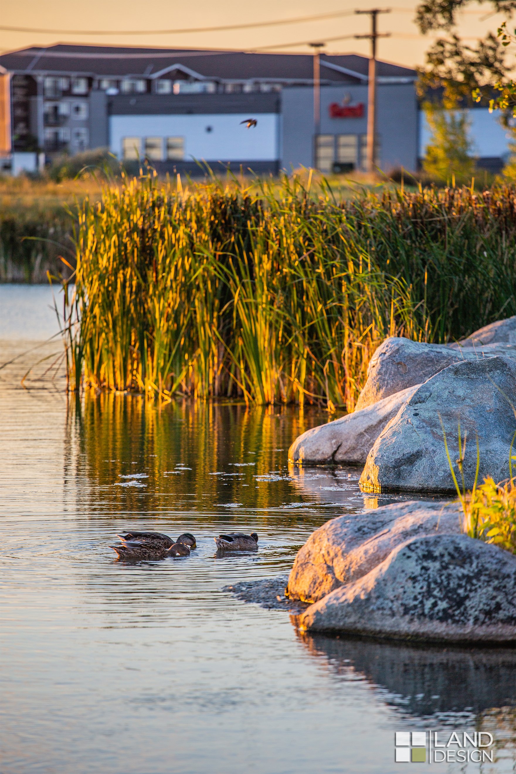 Shiloh Conservation Area_LDI (7).jpg