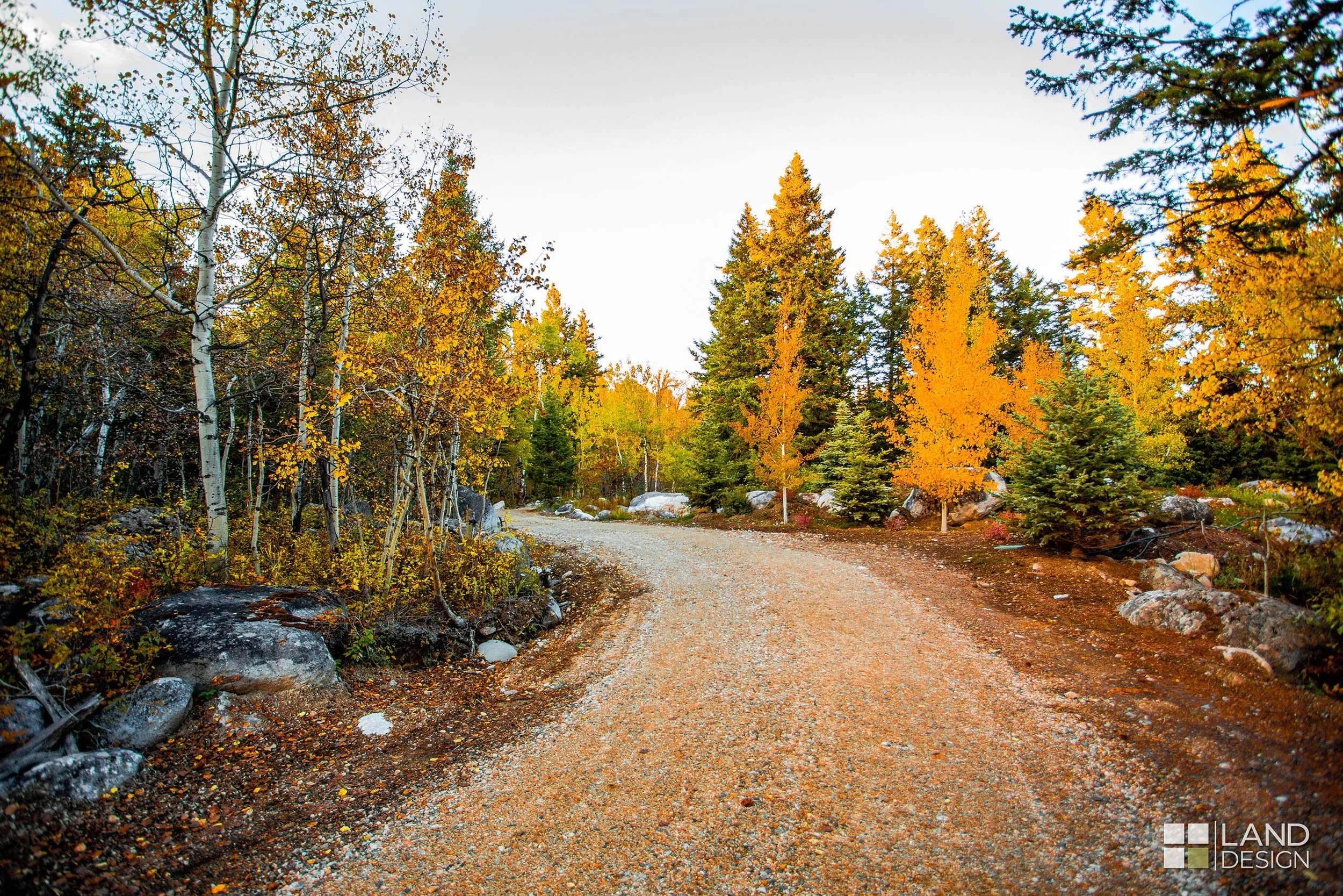 Red Lodge Residence_LDI (3).jpg