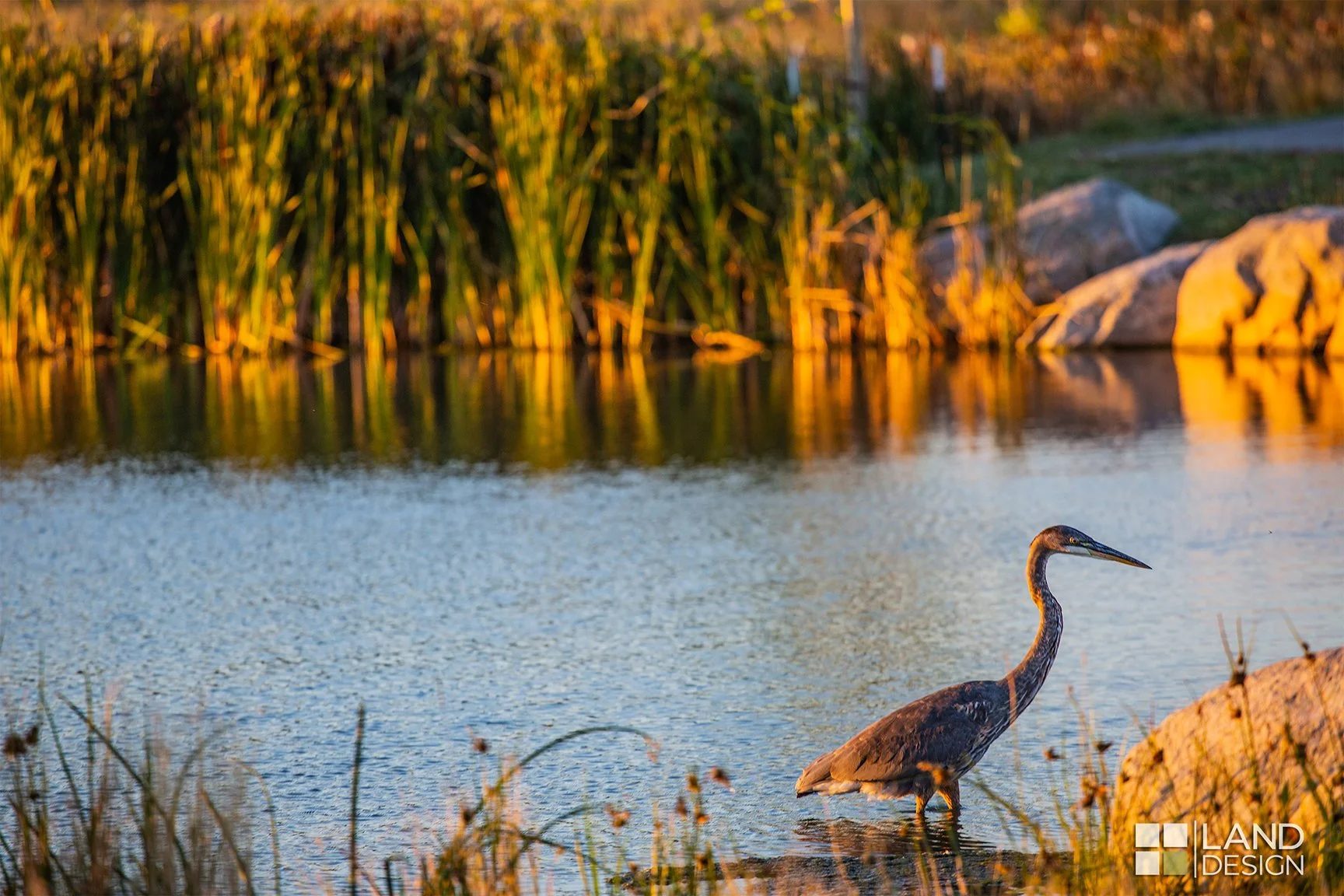 Shiloh Conservation Area_LDI (3).jpg