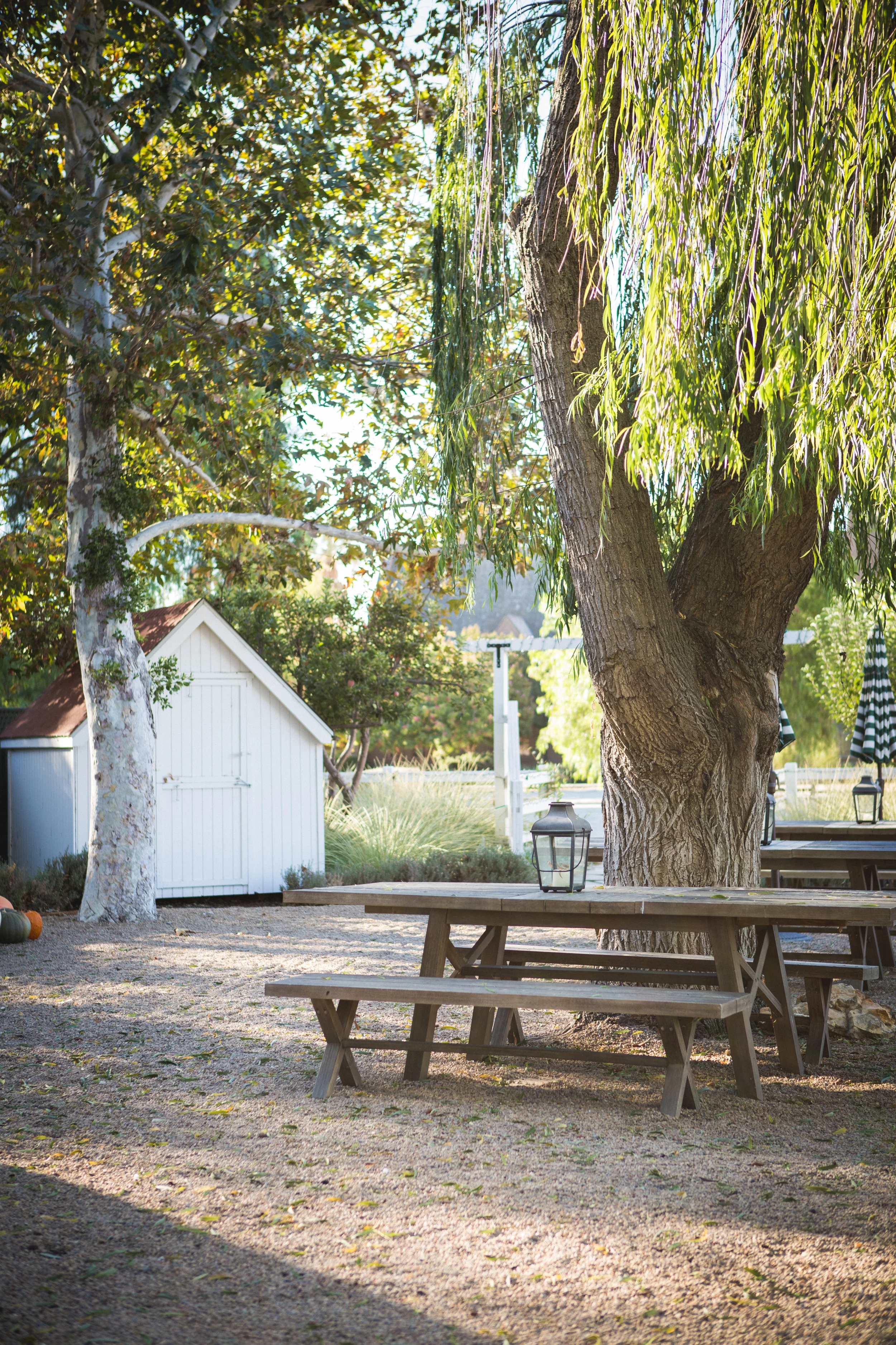 20141008_F_MatteisTavern_050.jpg