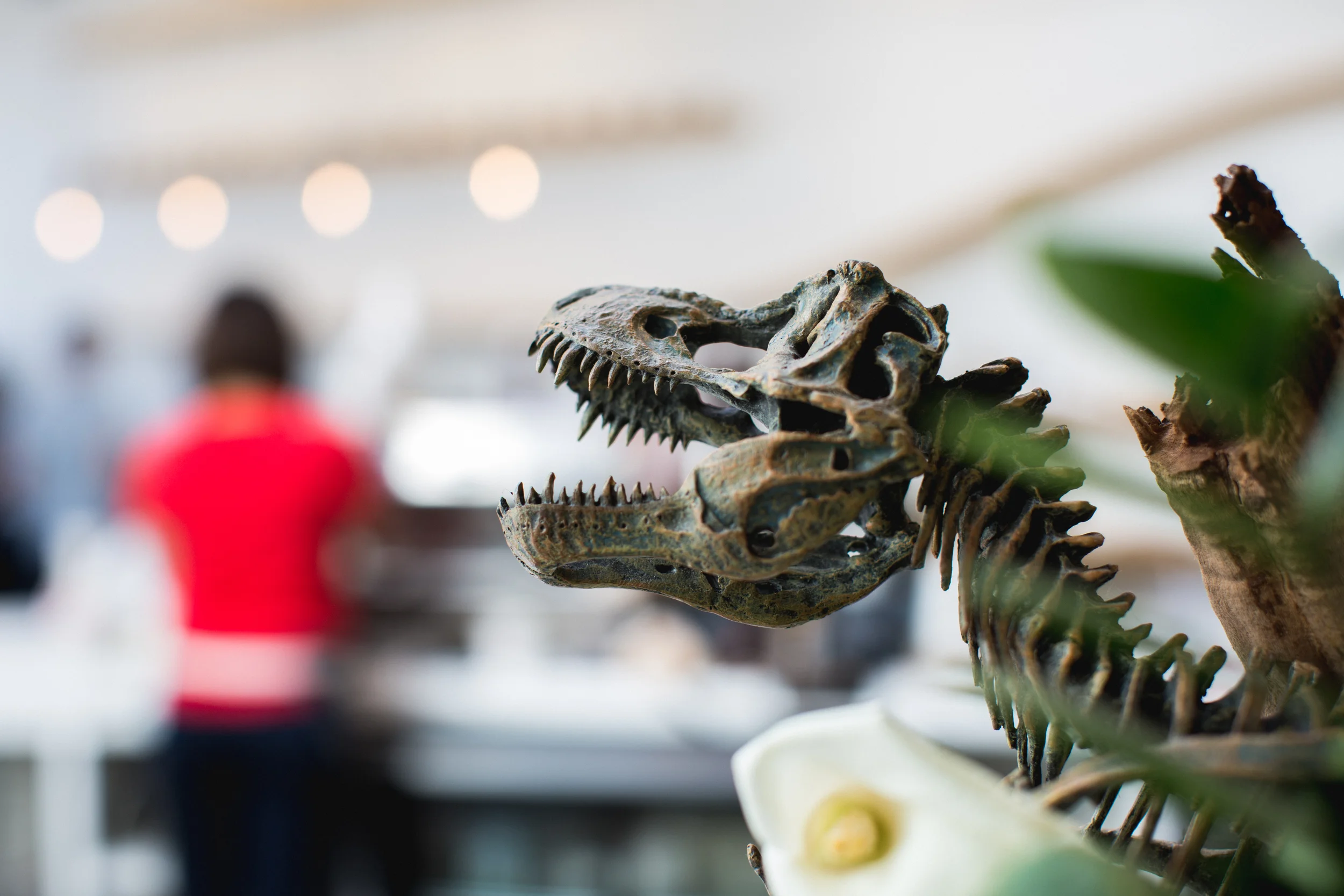 20150219_F_DinosaurCoffee_106.jpg