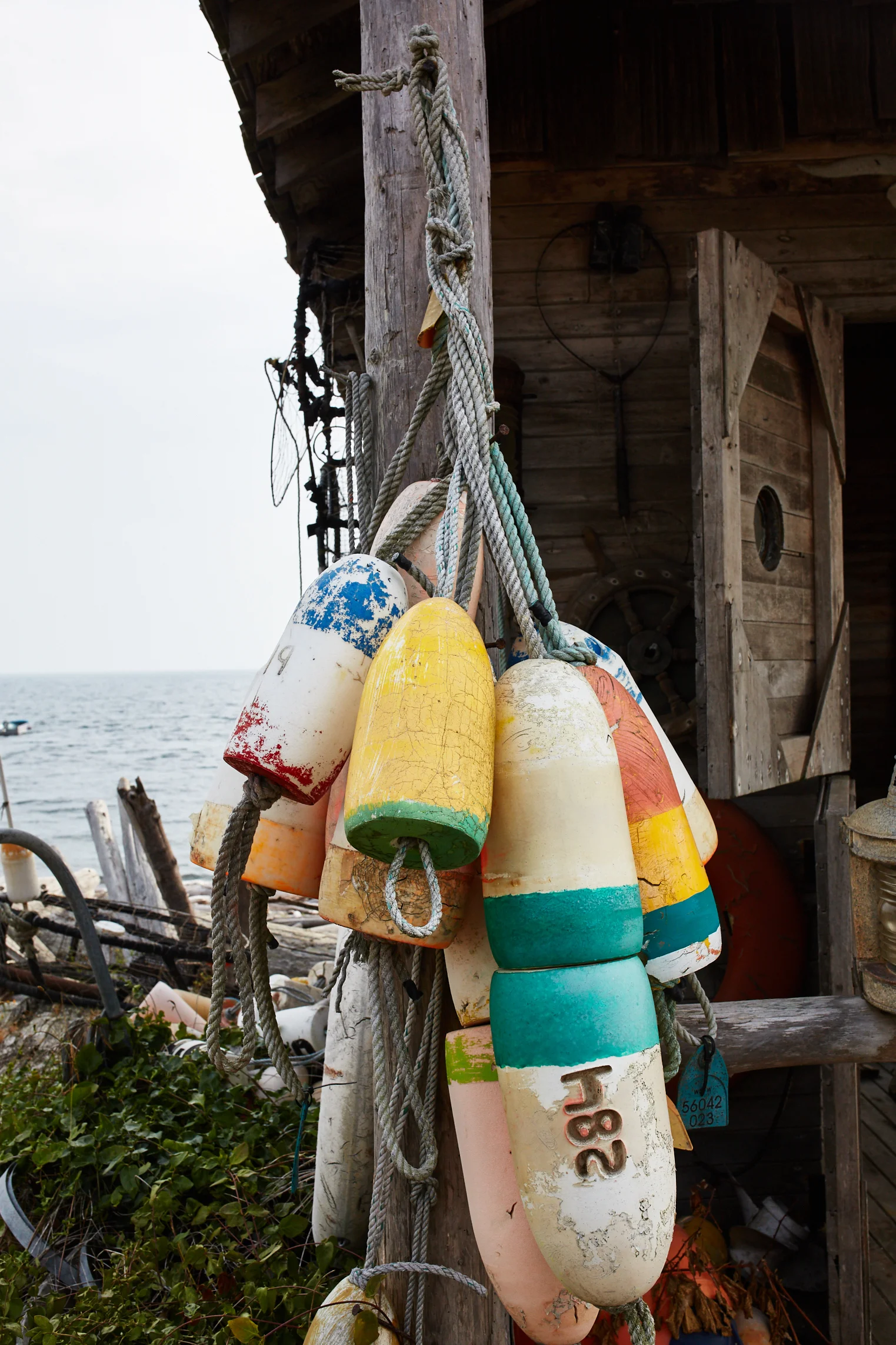 180824_LummiIsland-560-web.jpg