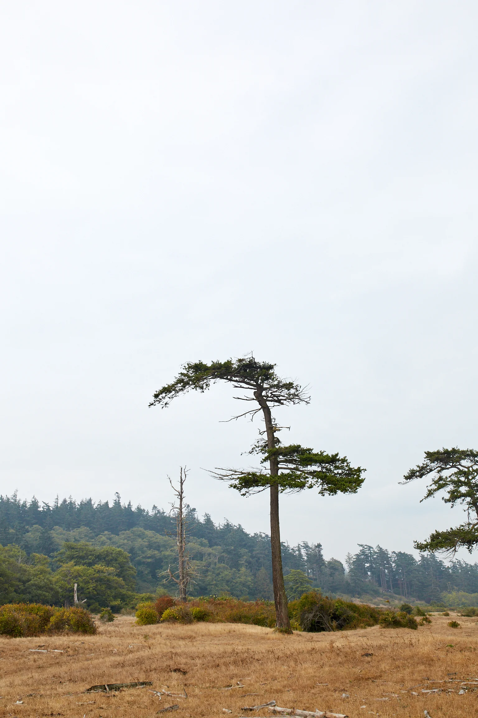 180824_LummiIsland-544-web.jpg