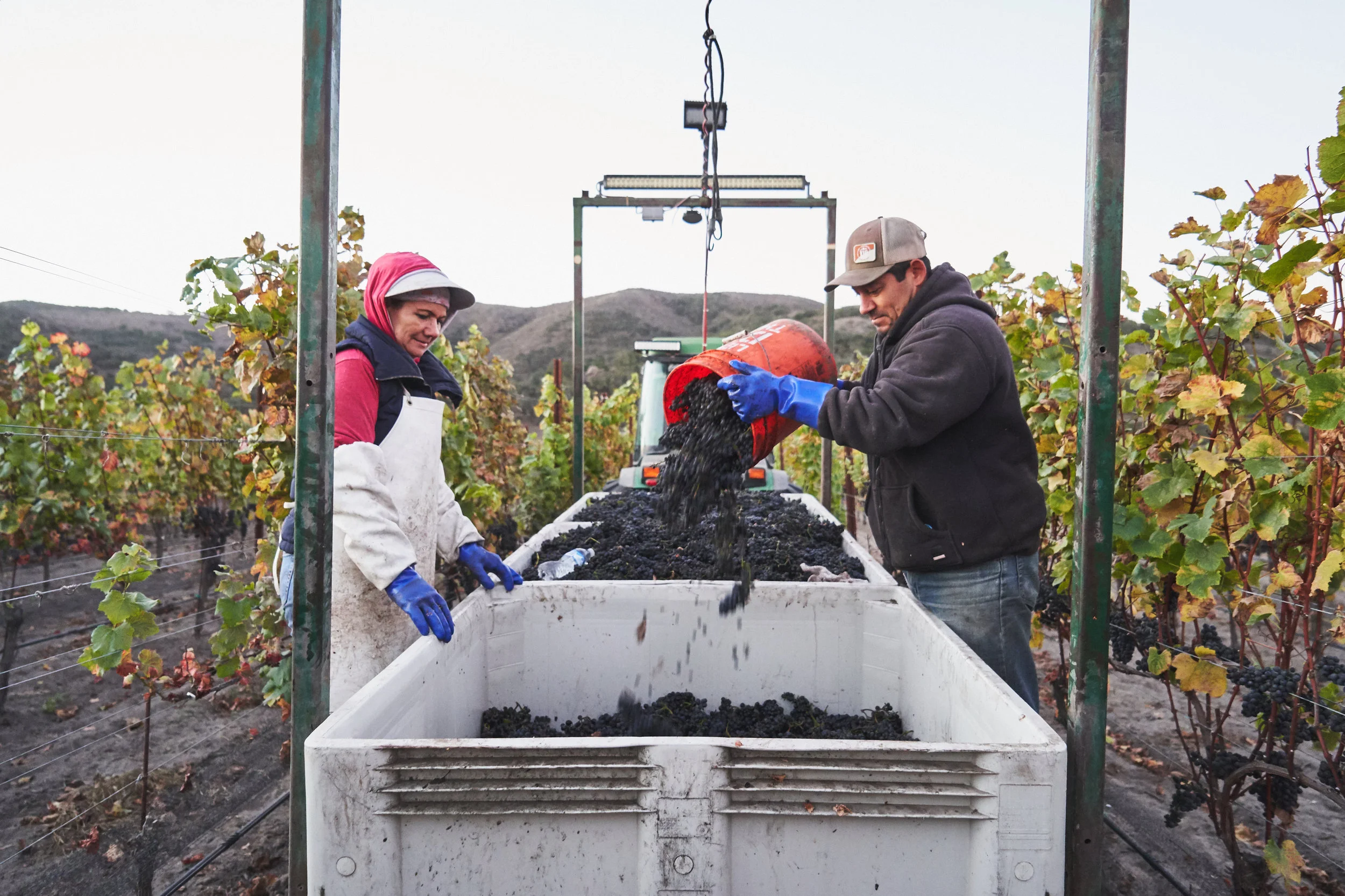 20181030_Melville-Harvest-105_2.jpg