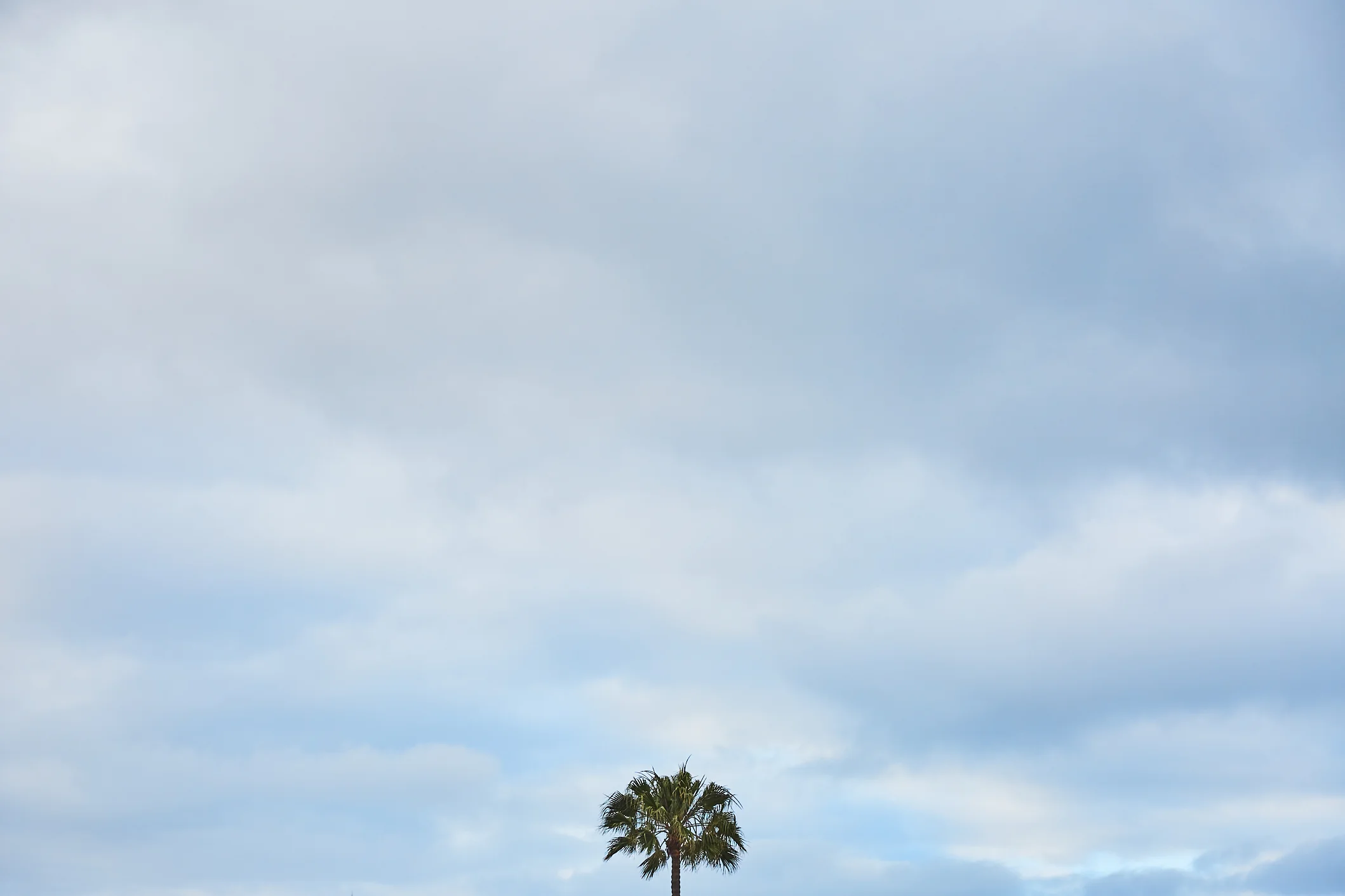 20190521_T_Carlsbad_D2-092.jpg