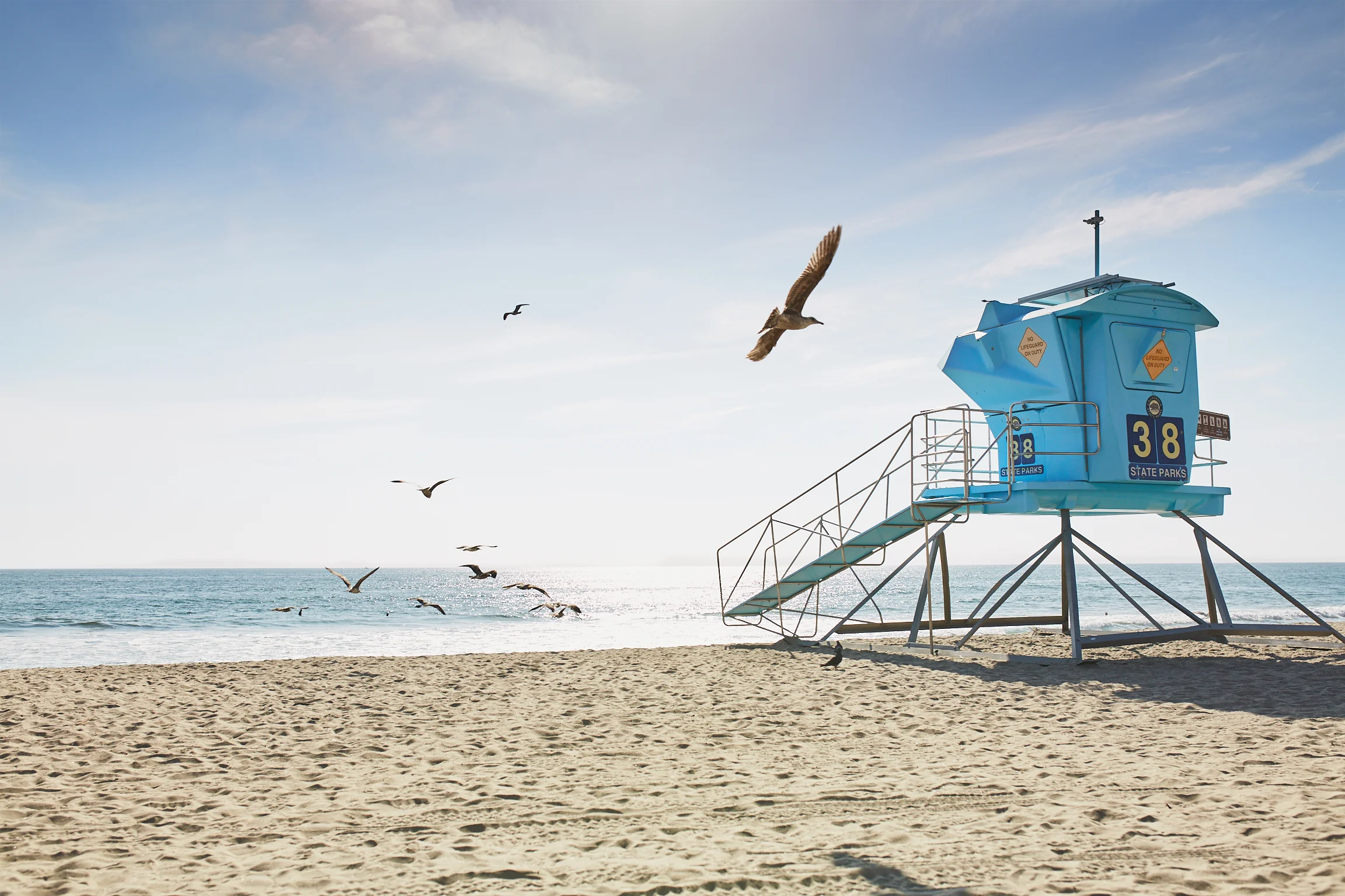 T_Carlsbad-Pantone-154.jpg