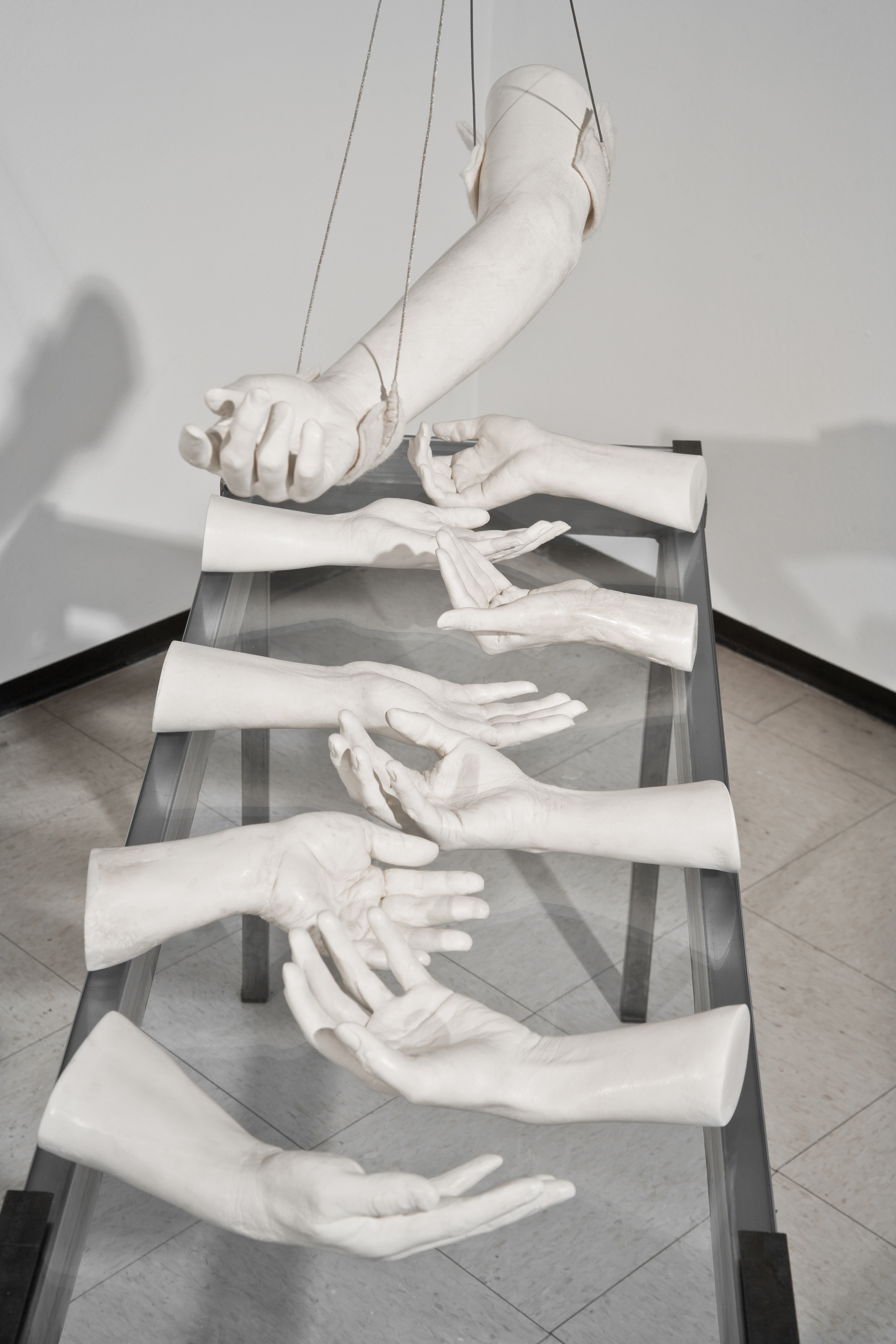 Injured Limb