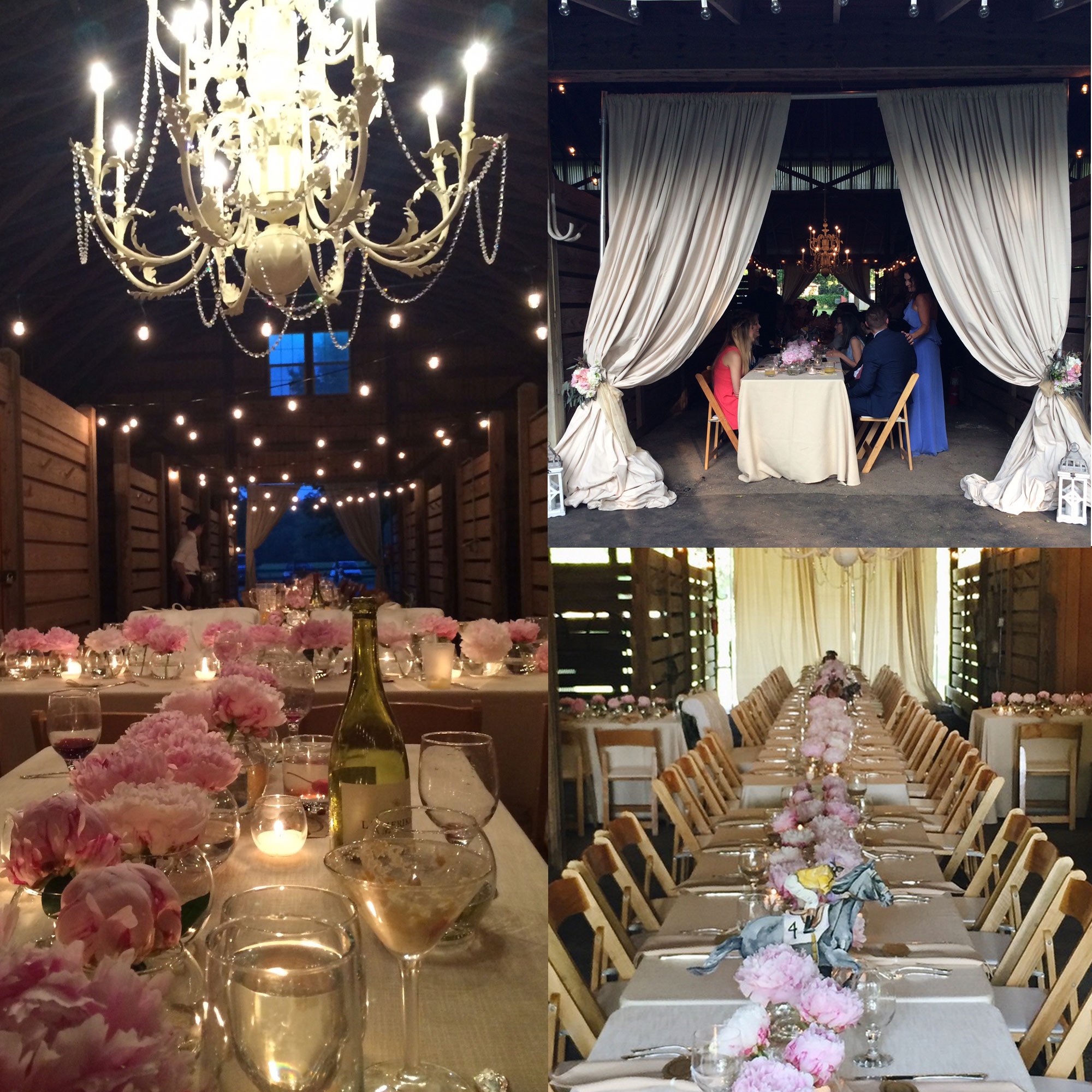 Polo Barns at Saxony, Farm Wedding, Barn Reception, Farm Tables, Peonies, Chandelier in the Barn!