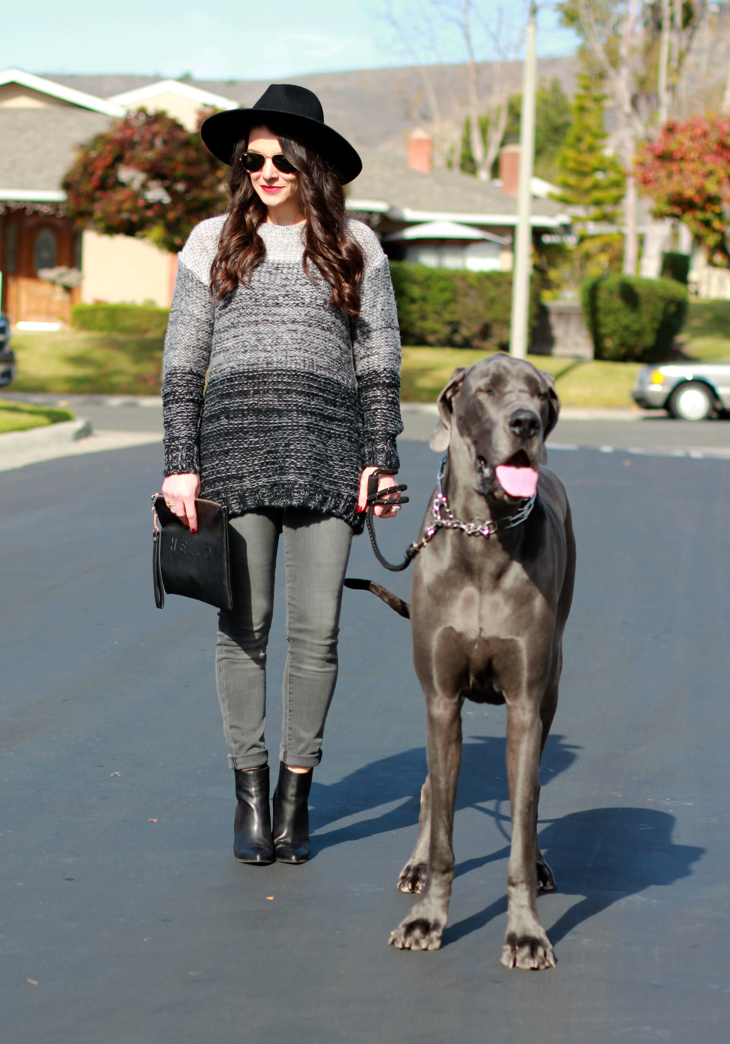 GRAY OUTFITS (GROUTFITS) WITH GARY THE GREAT DANE — Me and Mr. Jones