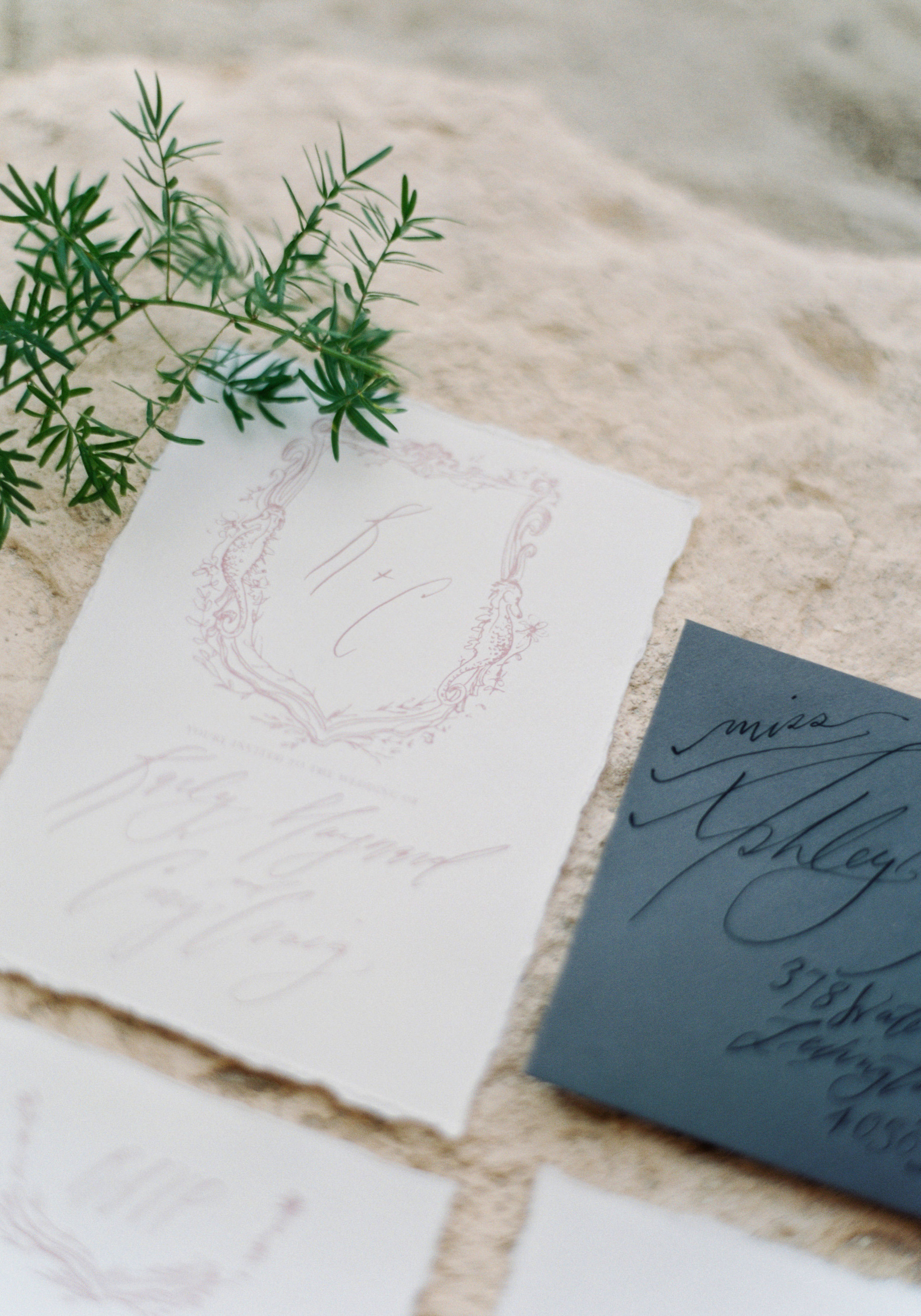 Blush and grey calligraphy invitation suite for a Mexico destination wedding on the beach. www.me-and-mrjones.com