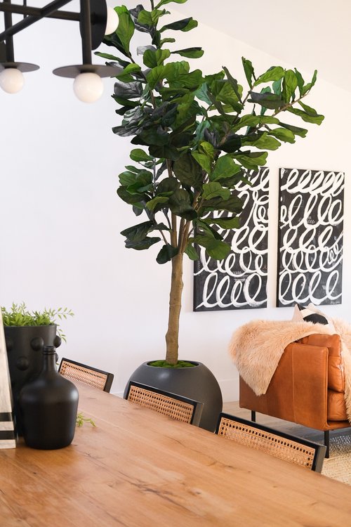 Faux plants that look real!, Gallery posted by Haley Jones