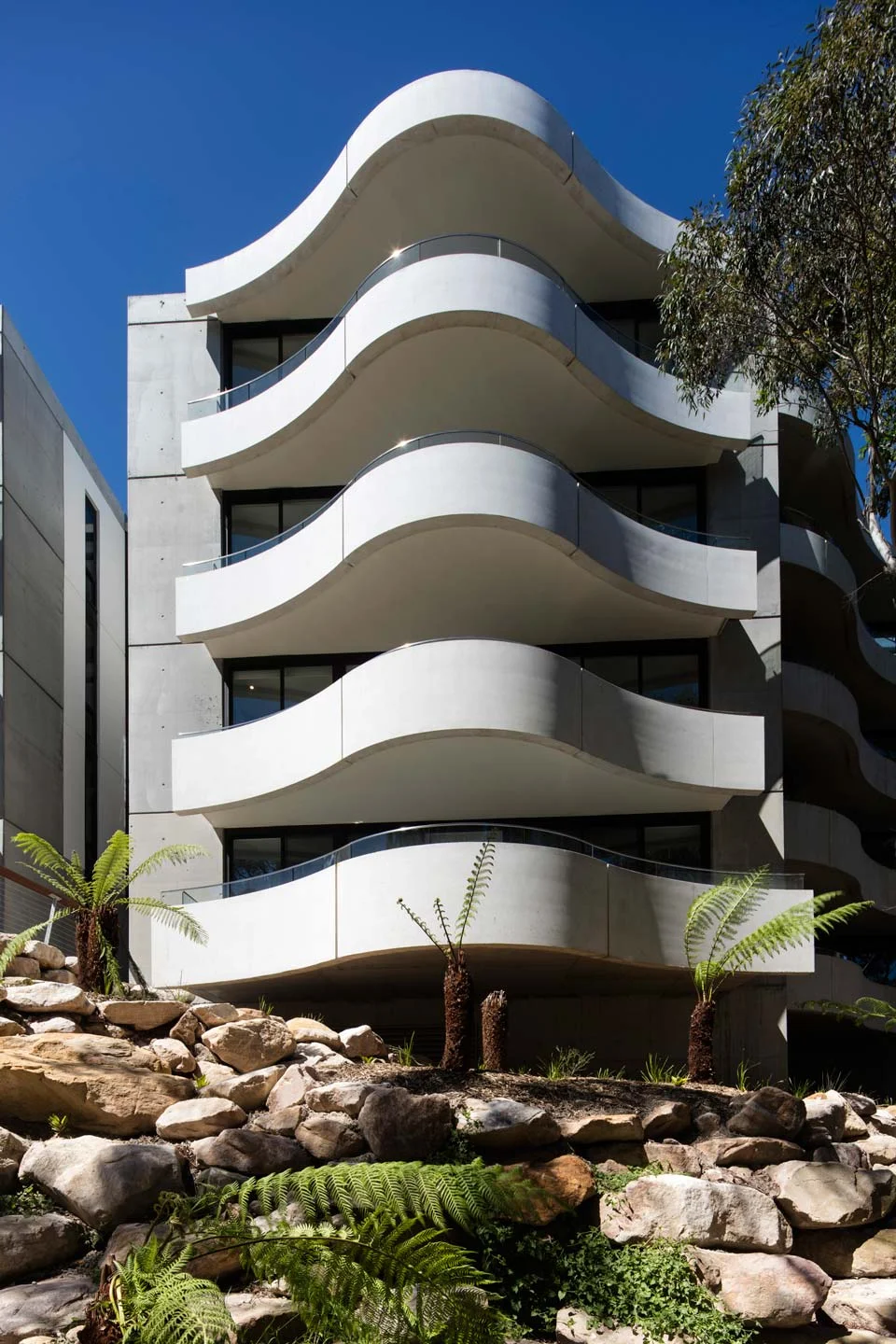 Architectus_ShoutRidge_Lindfield_004495.jpg