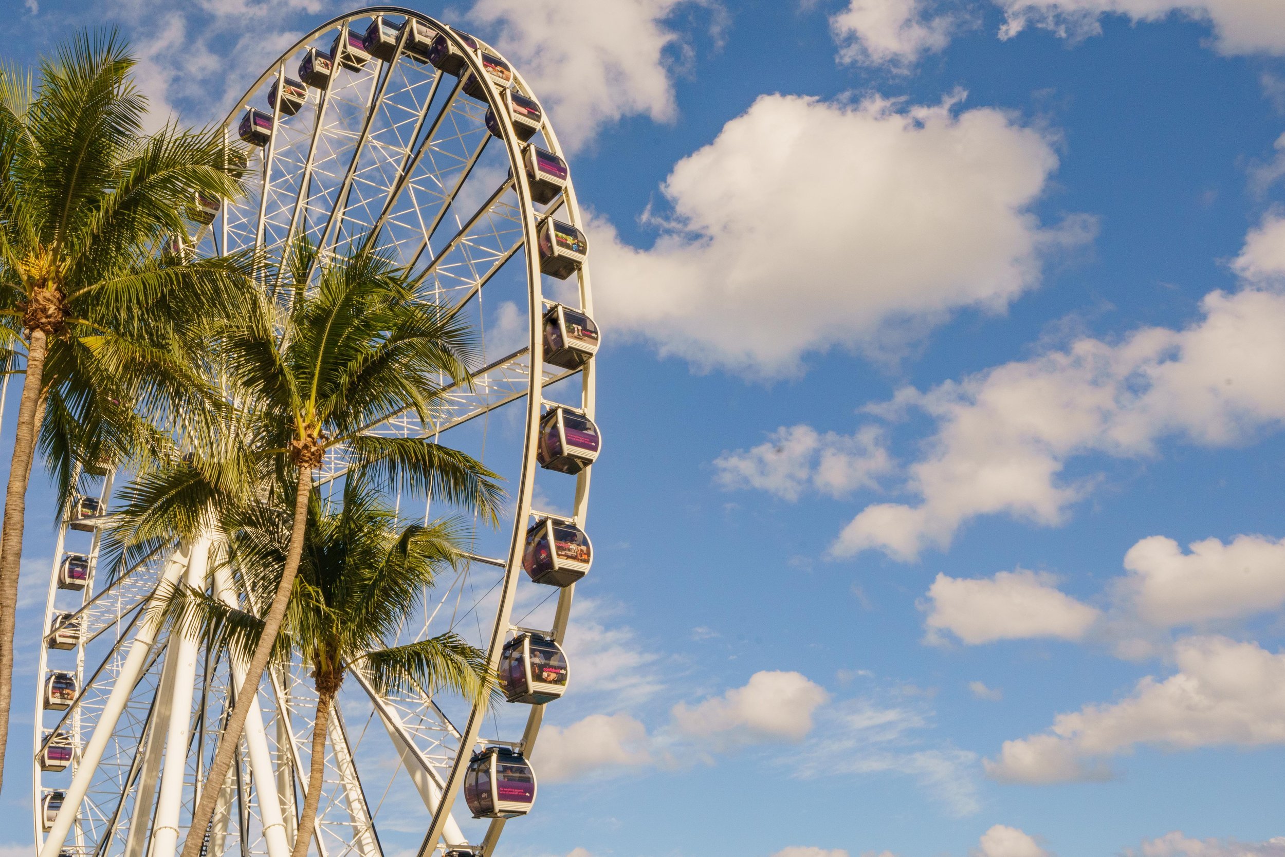 Miami-4.jpg