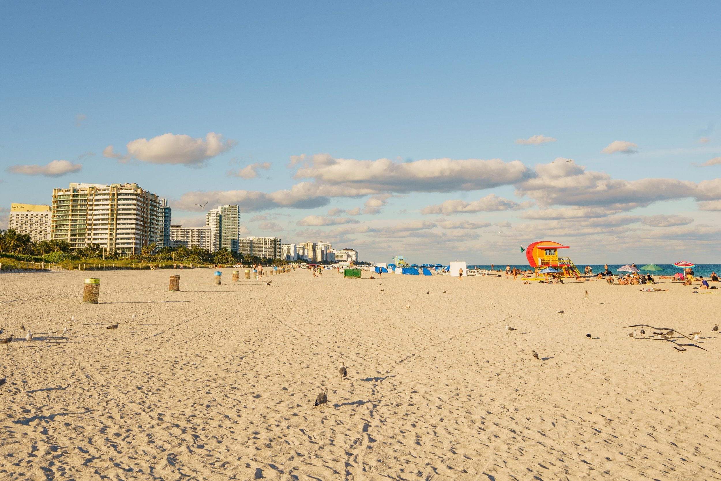 Miami-3.jpg