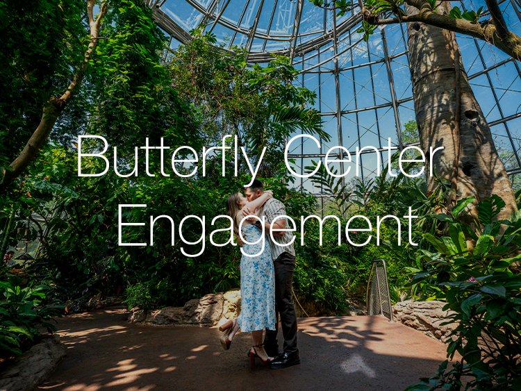 Engagement at the Butterfly Center in Houston