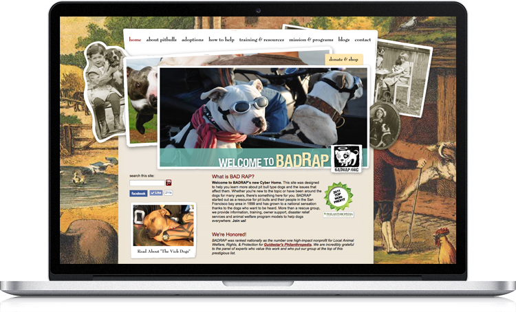 This website for Bay Area nonprofit BADRAP showcases the organization's dogs available for adoption, as well as information about the organization and useful tips for dog owners. We worked closely with the organization's directors to design a unique site that reflects their personal design aesthetic. The result is proof that a website can be both beautiful and highly functional.