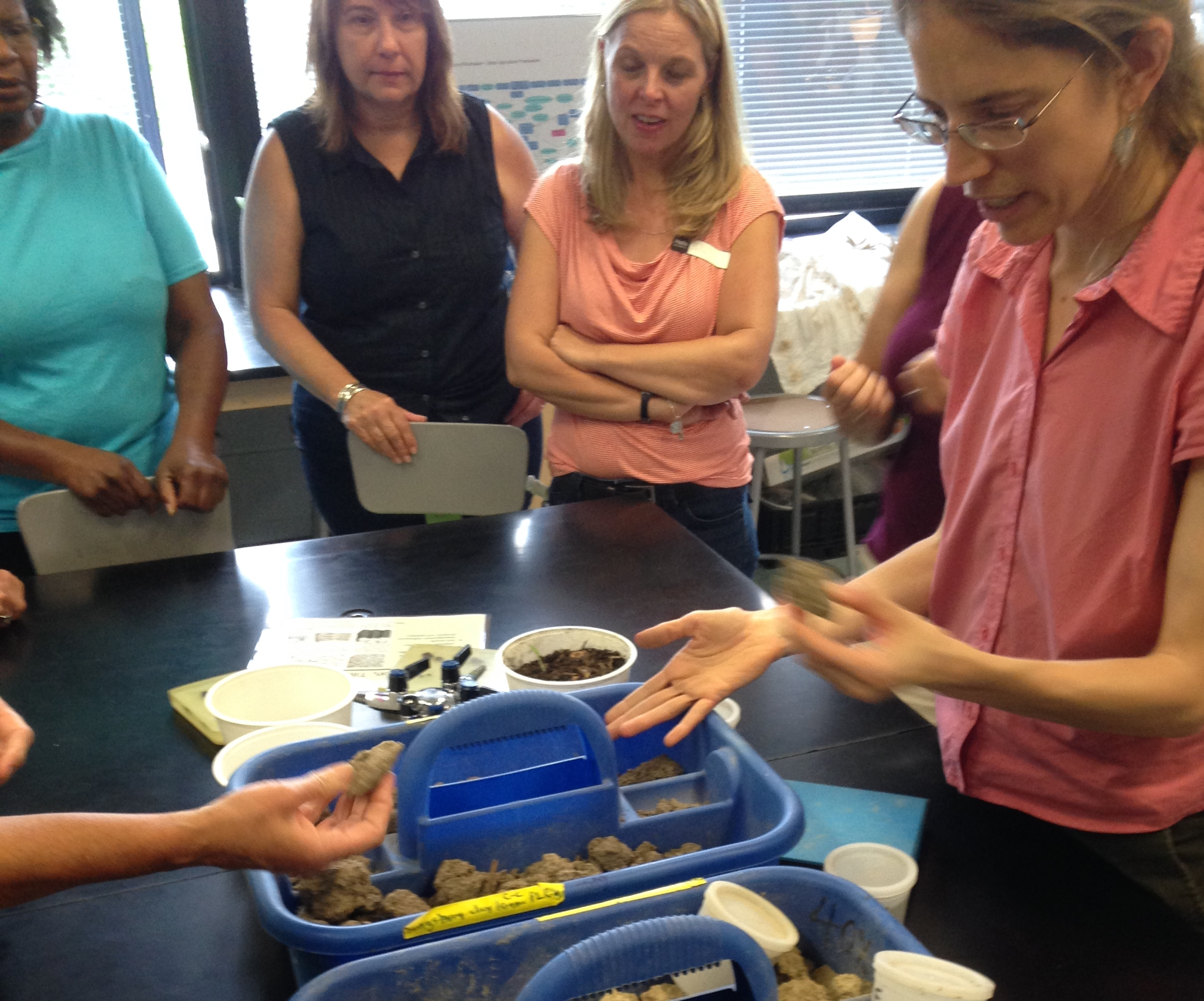 Know Soil Know Life Practicum