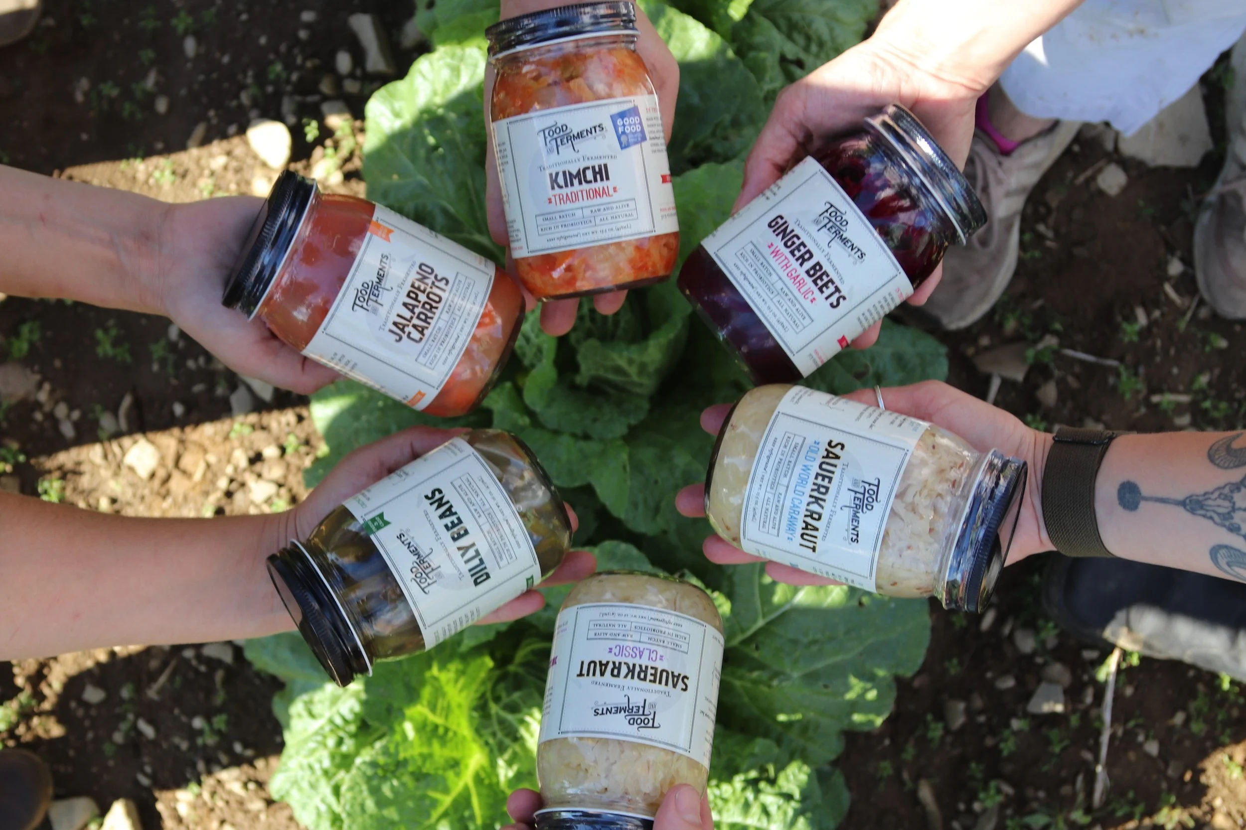 ferments in field.JPG