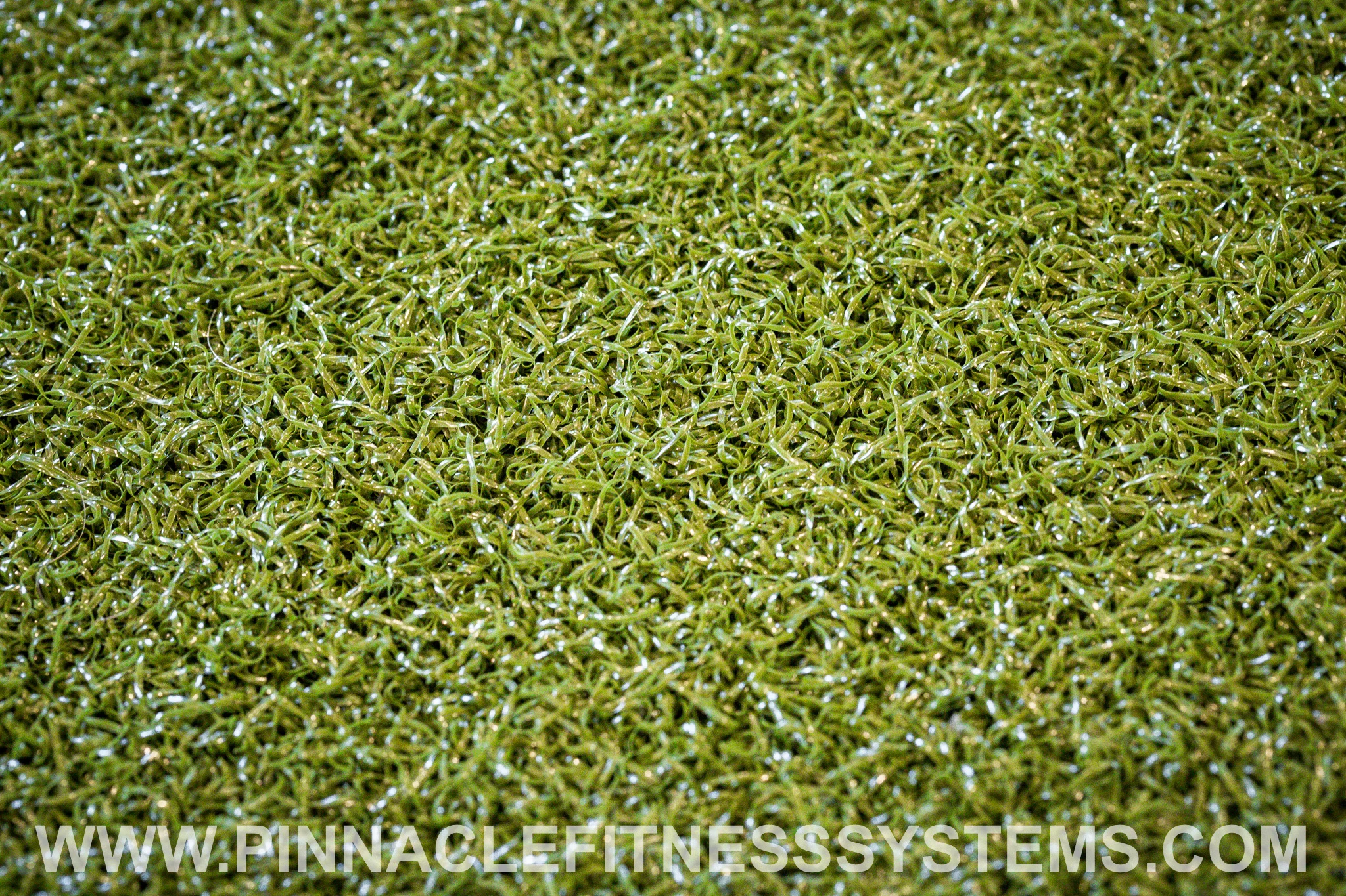 PFS-Farm-Gym-Gibsonia-Ecore-Speed-Agility-Turf-5.jpg