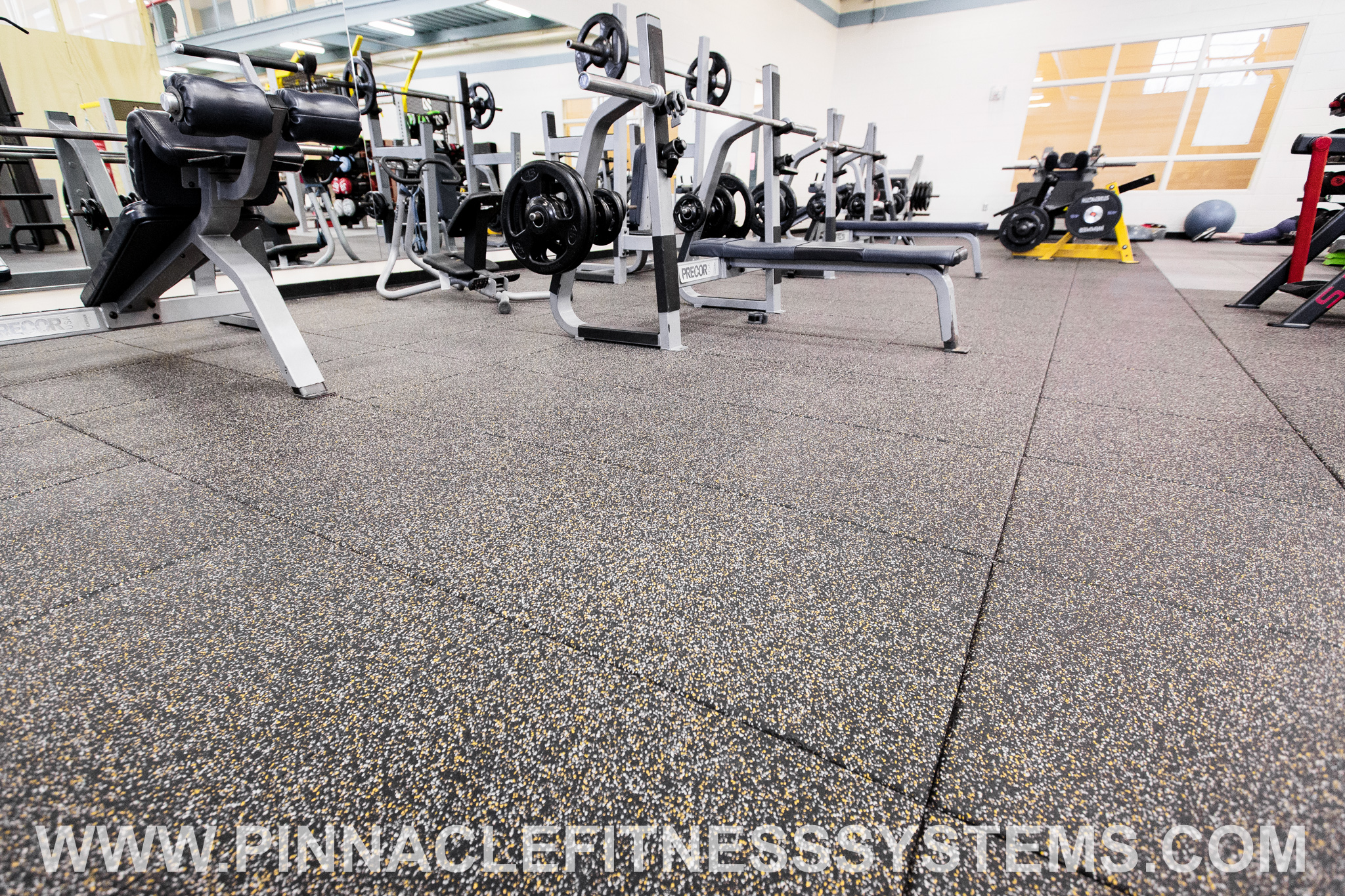 Pinnacle-Fitness-Systems-RoseESchneider-YMCA-5.jpg