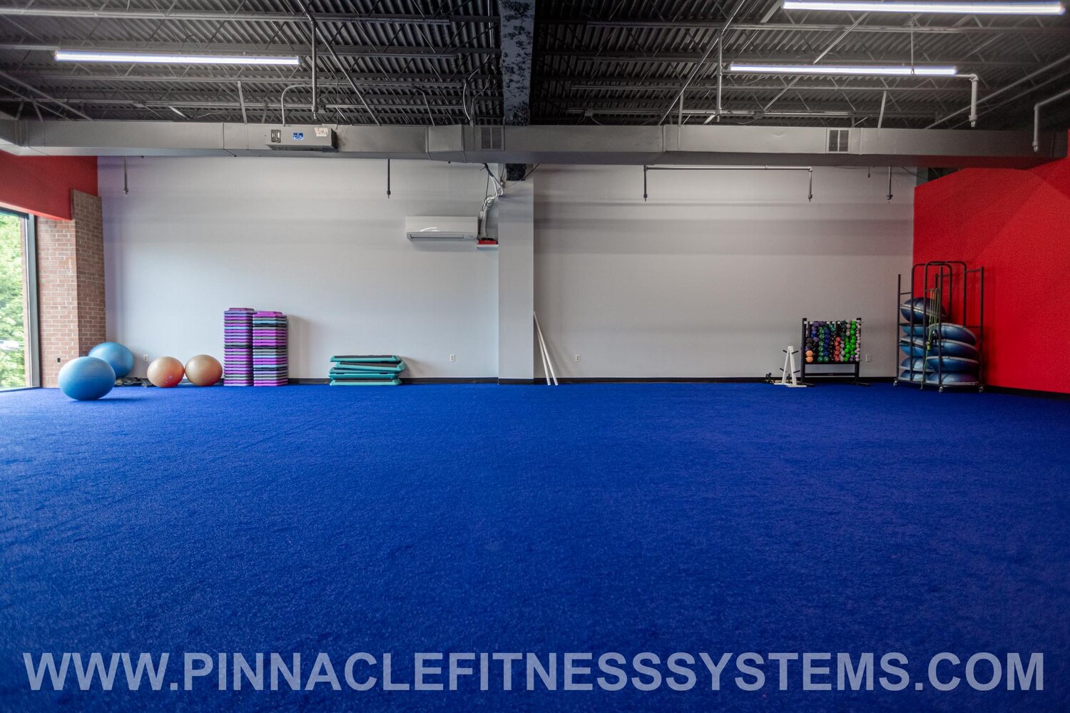 Pinnacle Fitness Systems