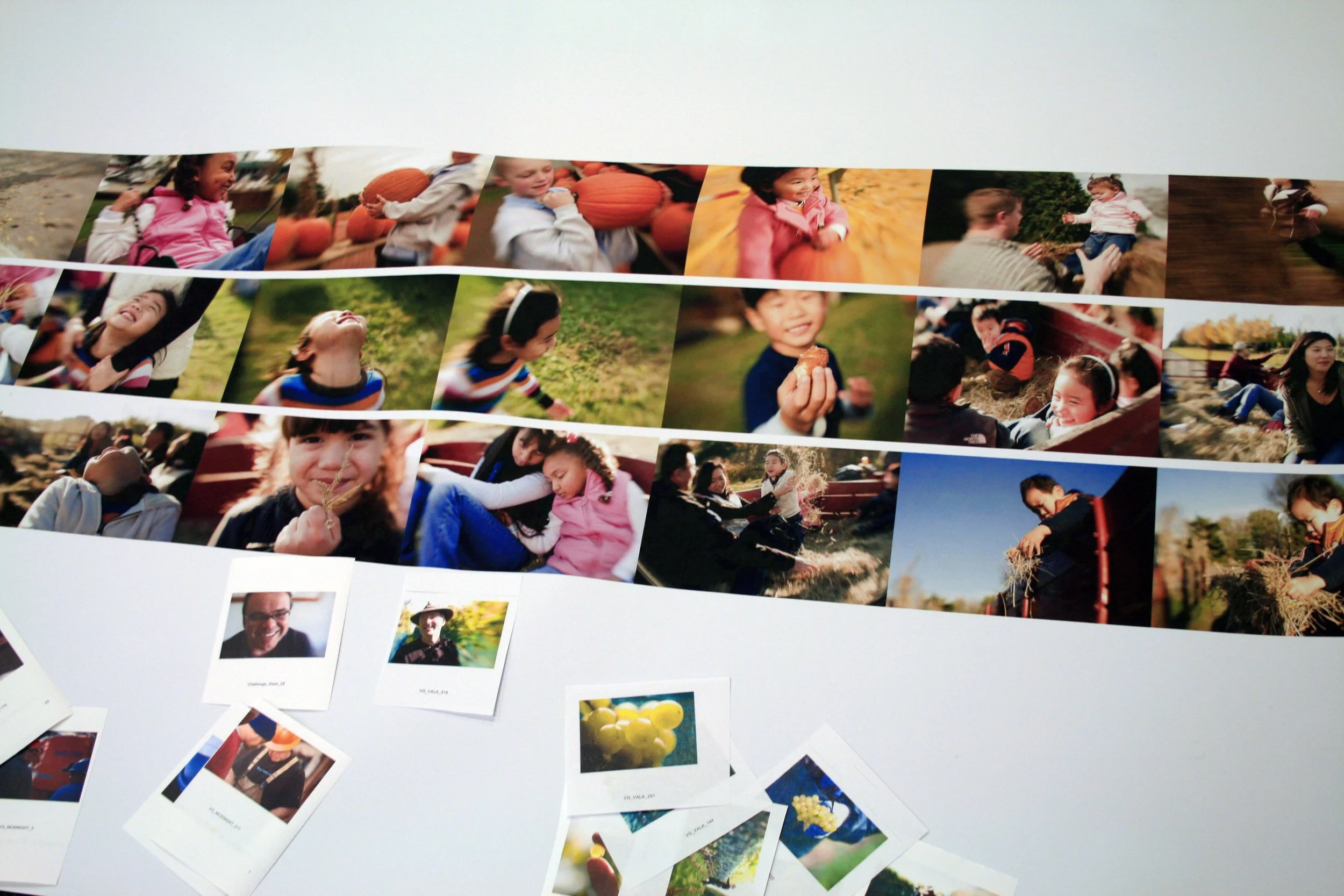 Vanguard final photography selection
