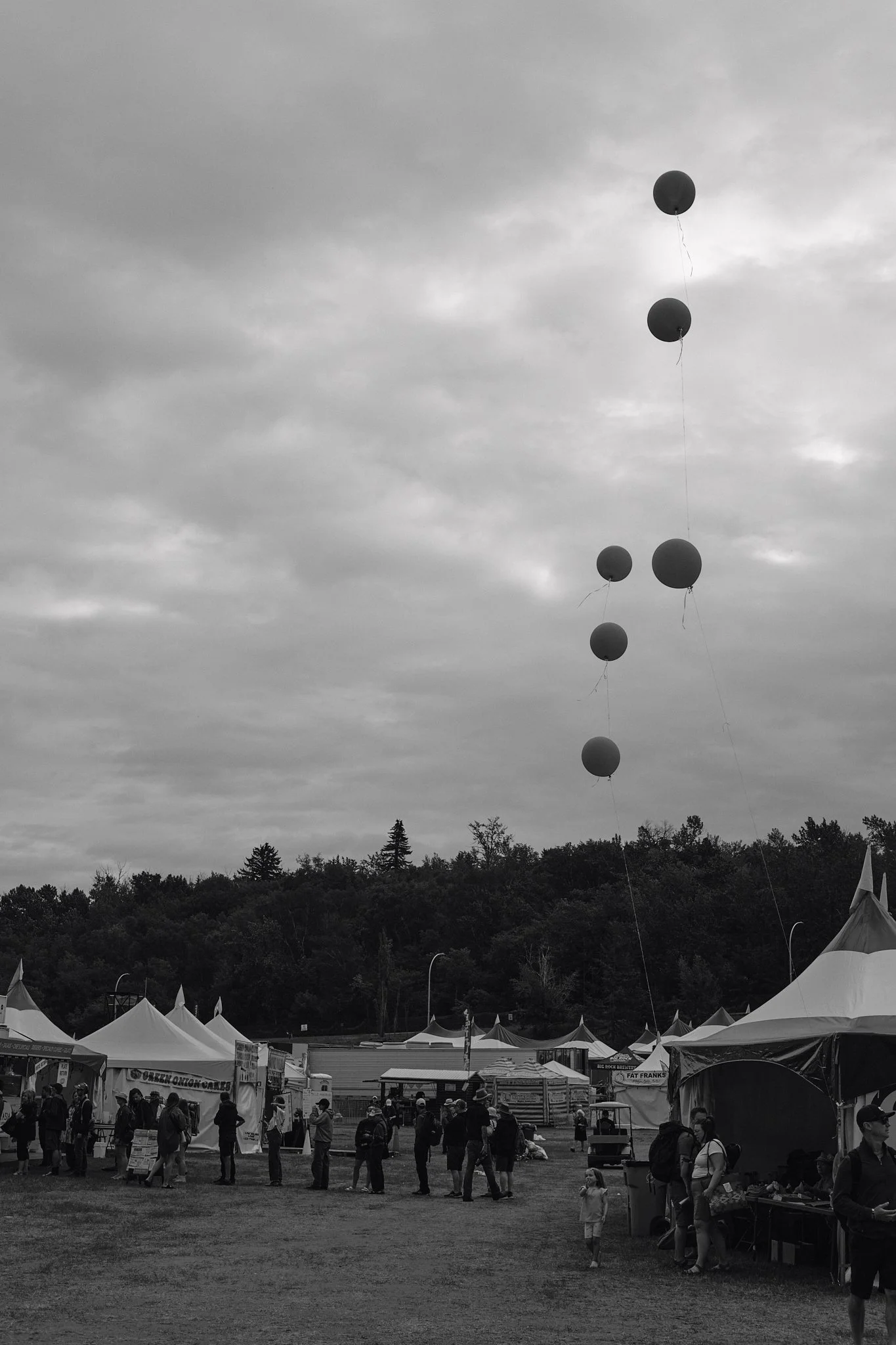 Folk Fest_Ballooons.jpg