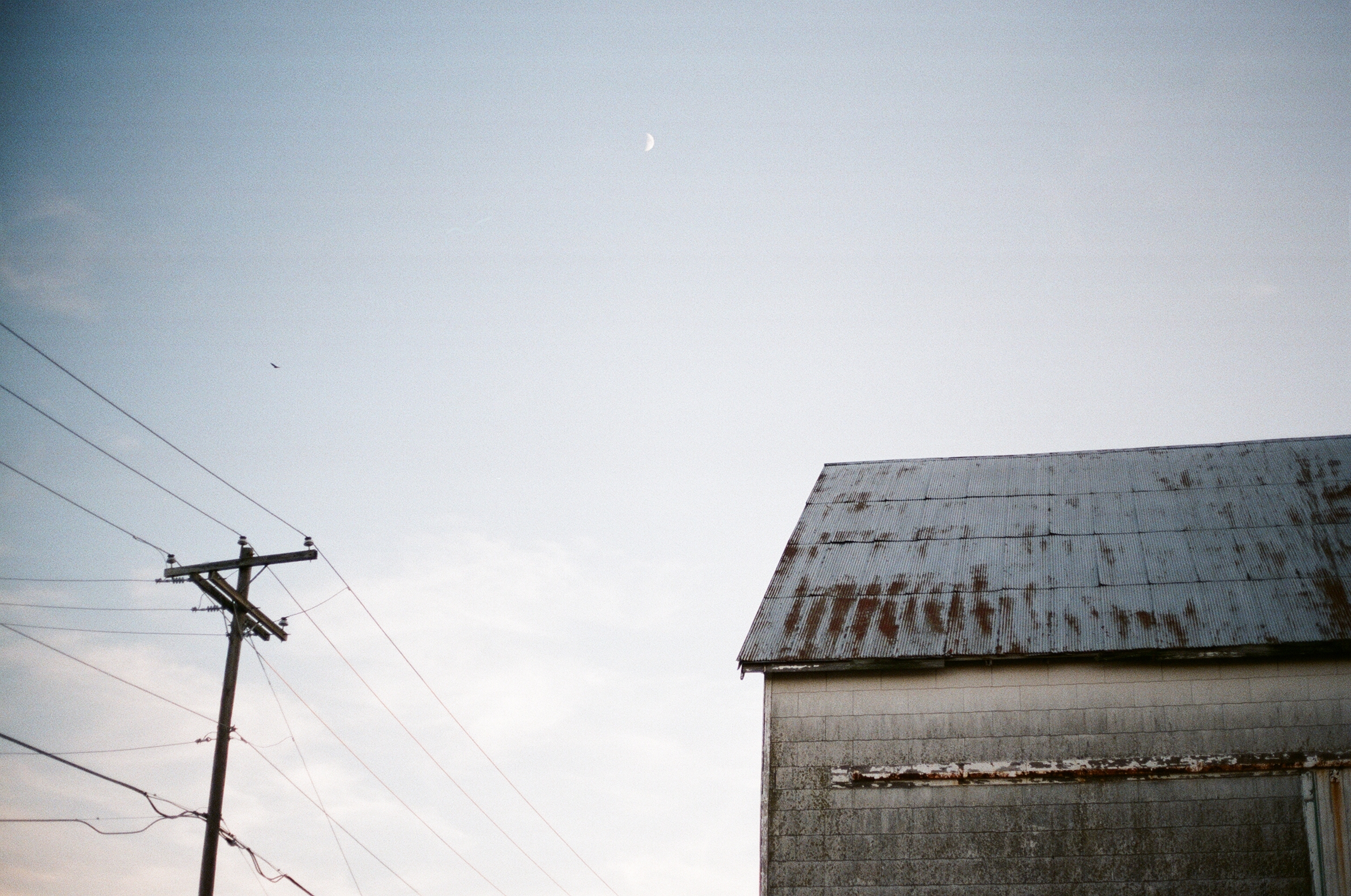 400film-- summer evening. i'm cherishing every last minute of this beautiful summer. this photo encapsulates all my feelings over the last few weeks. this is actually me in photo form. 
