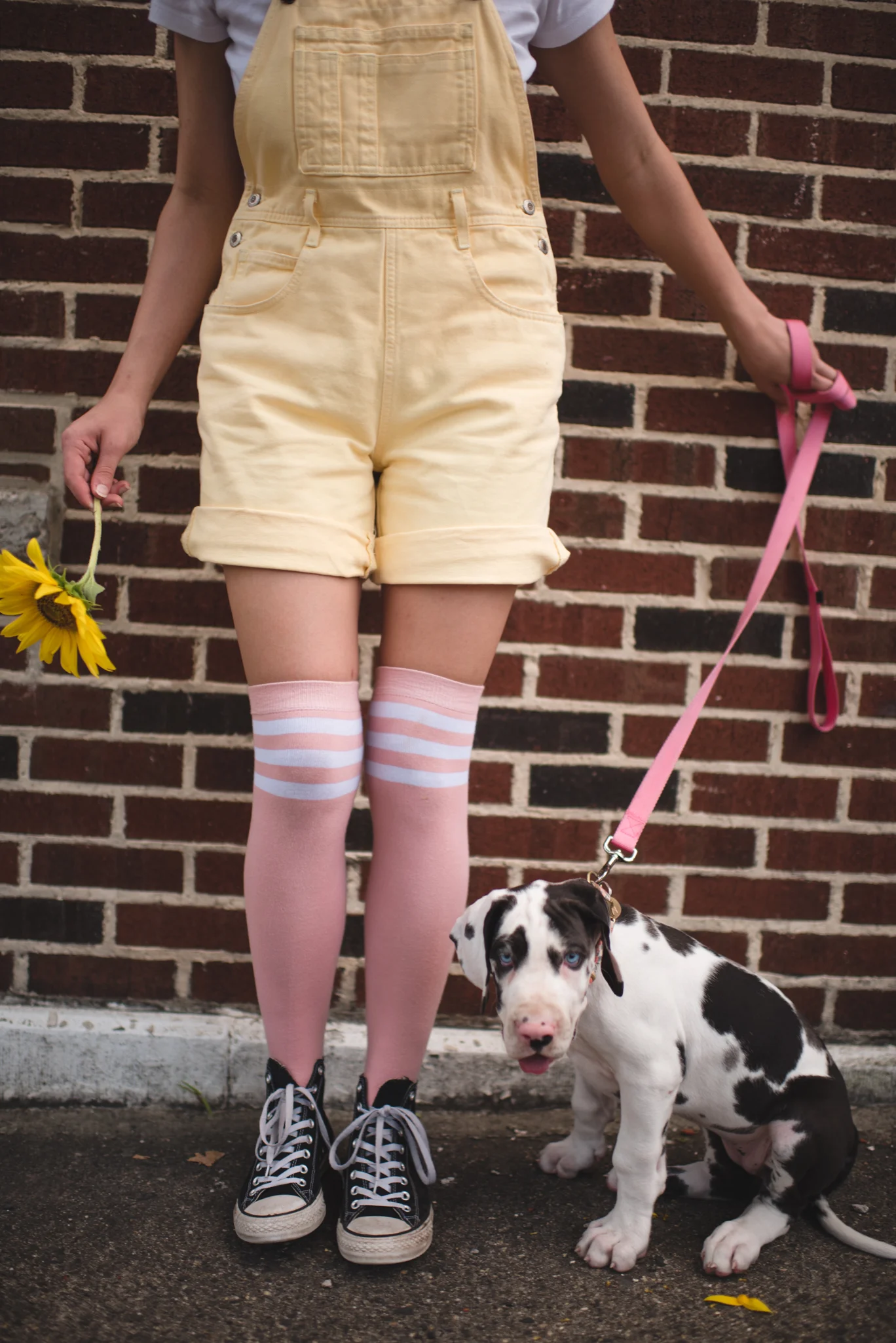 DSC_0014sdfgsdfg.jpg