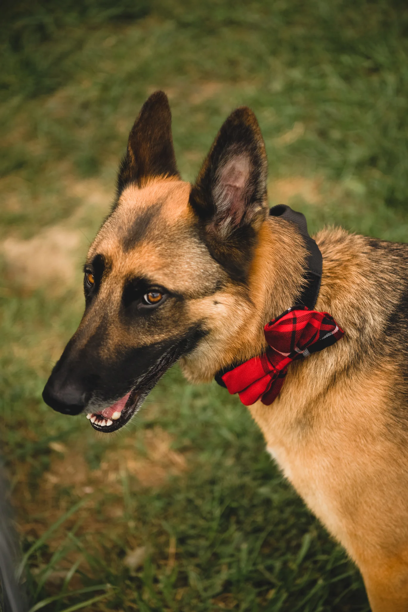 DSC_5411sdfgsdfg.jpg