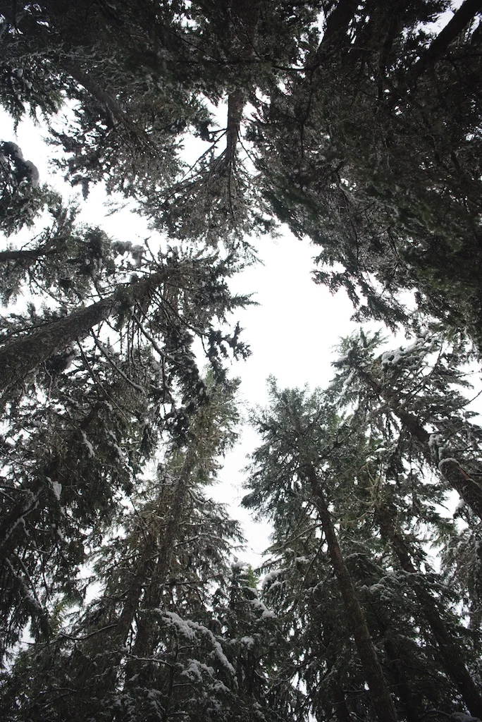DSC_1253sdfg.jpg