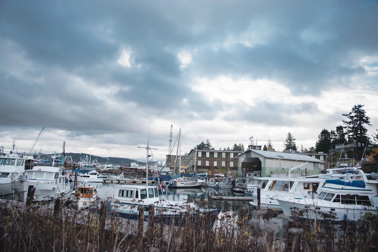DSC_1609sdfg.jpg