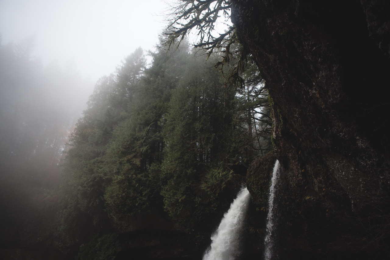 DSC_2202sdfg.jpg