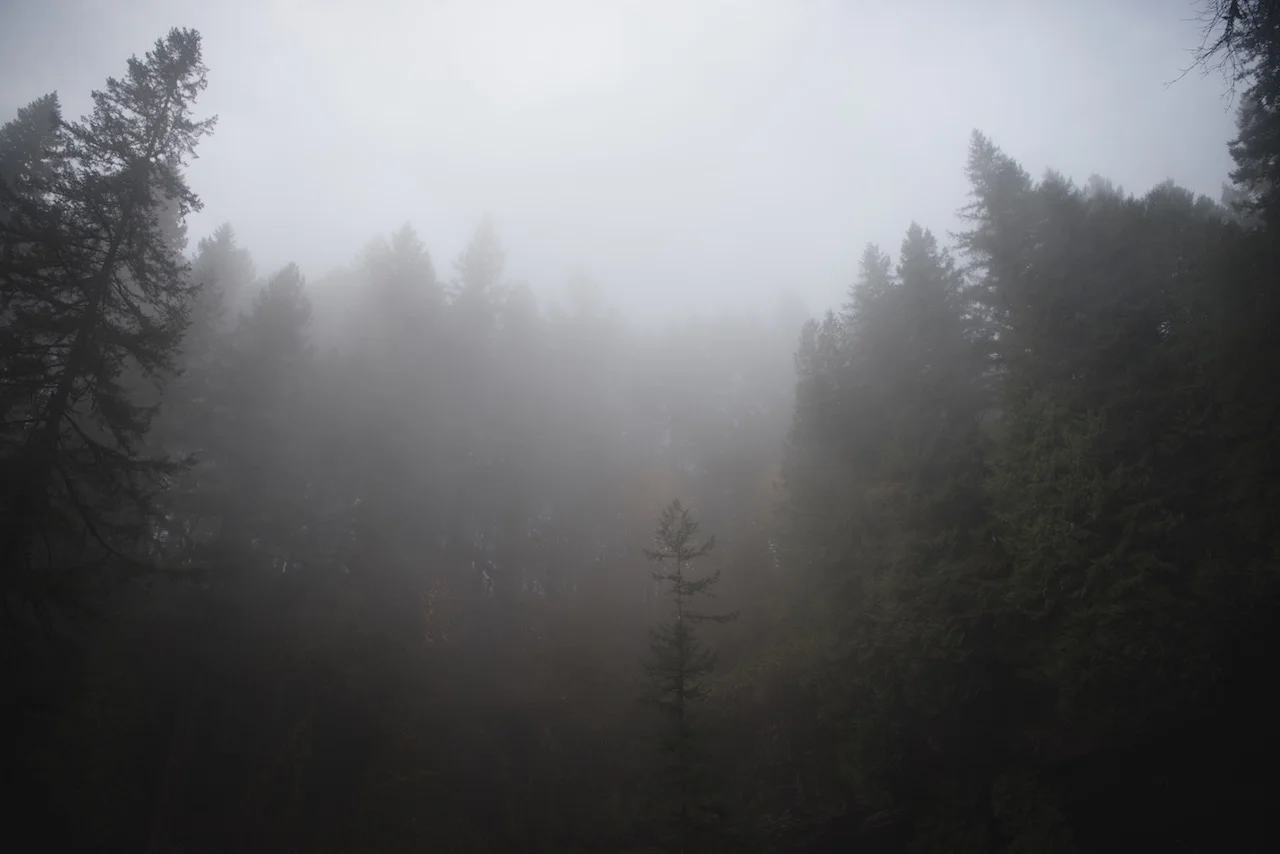 DSC_2191sdfg.jpg