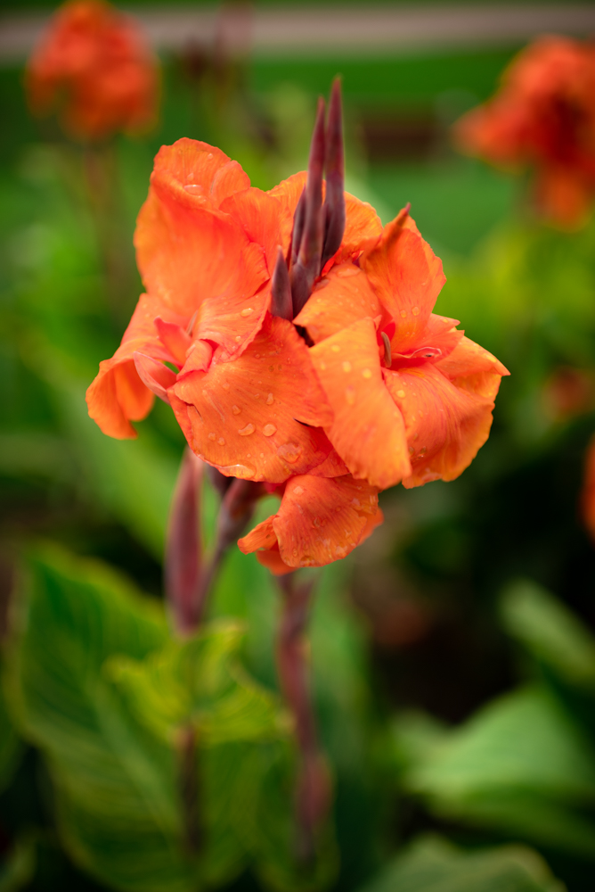 DSC_3814.jpg