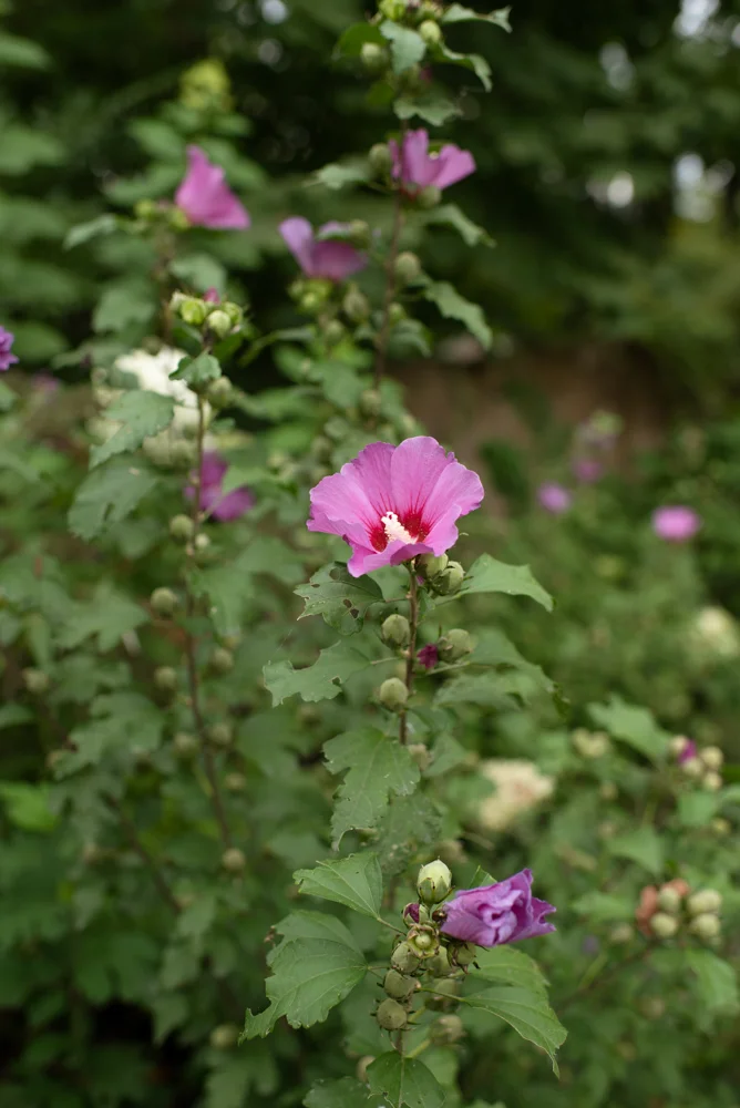 untitled-1573.jpg