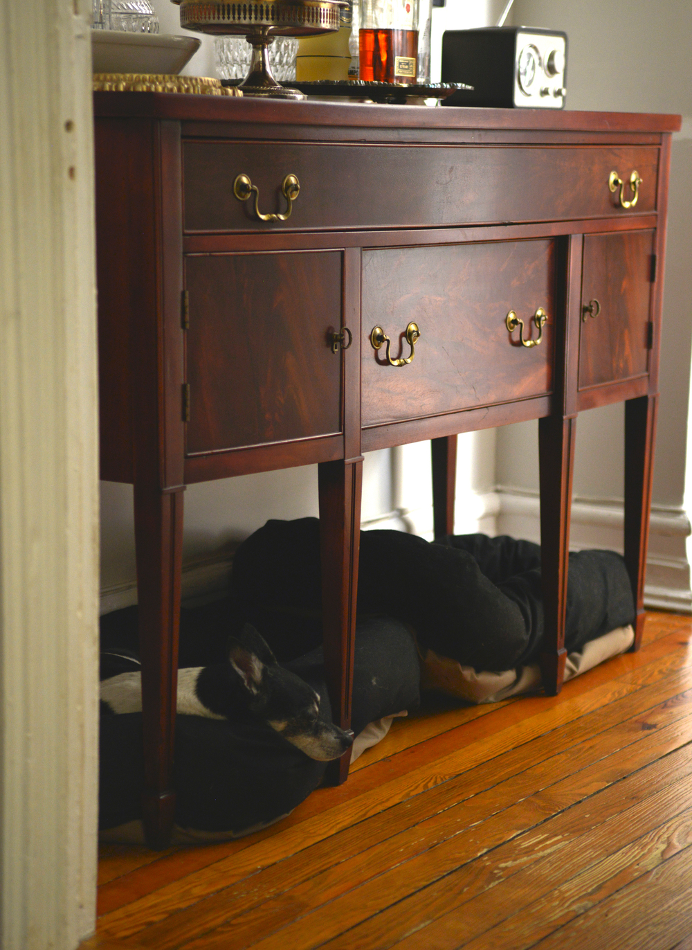 Max napping under the new sideboard. A success!&nbsp;| Photograph by Lauren L Caron