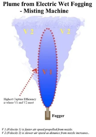 plume image.jpg